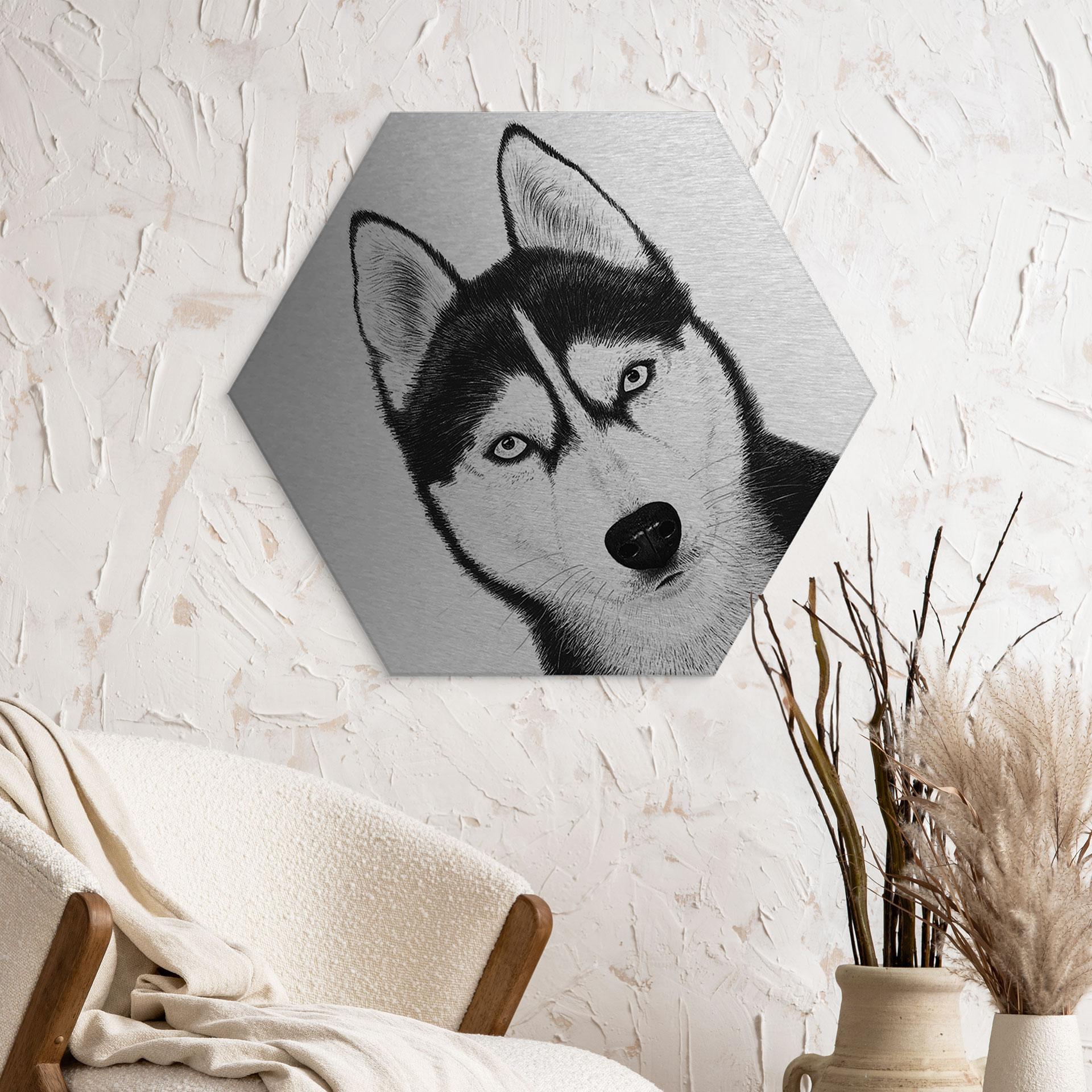 Aluminium Dibond med sølveffekt Siberian husky - Hundeportræt - Korenkova - Hexagon