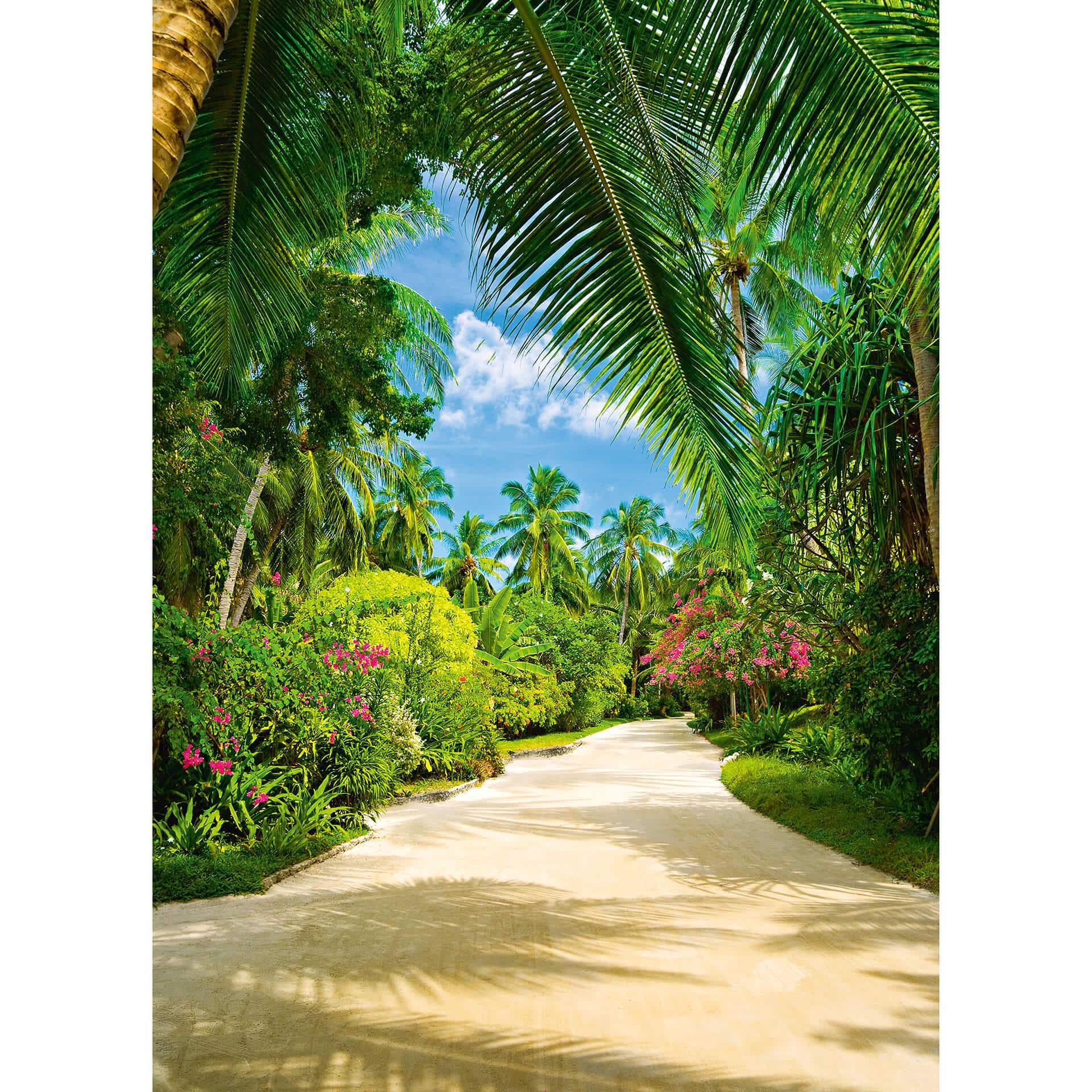 Fototapete Papiertapete Tropical Pathway - 183x254 cm