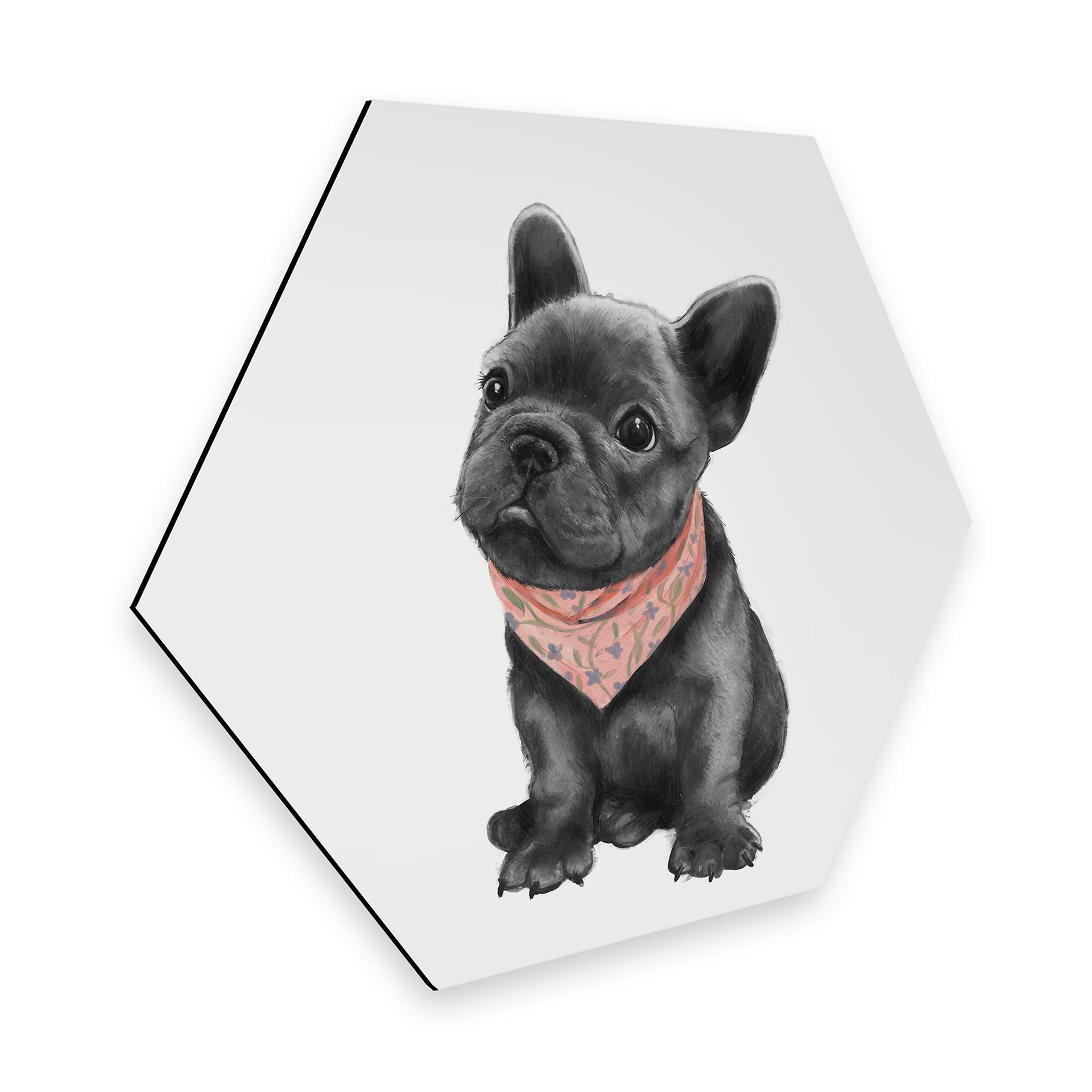 Hexagon - Alu-Dibond Graves - Frenchie