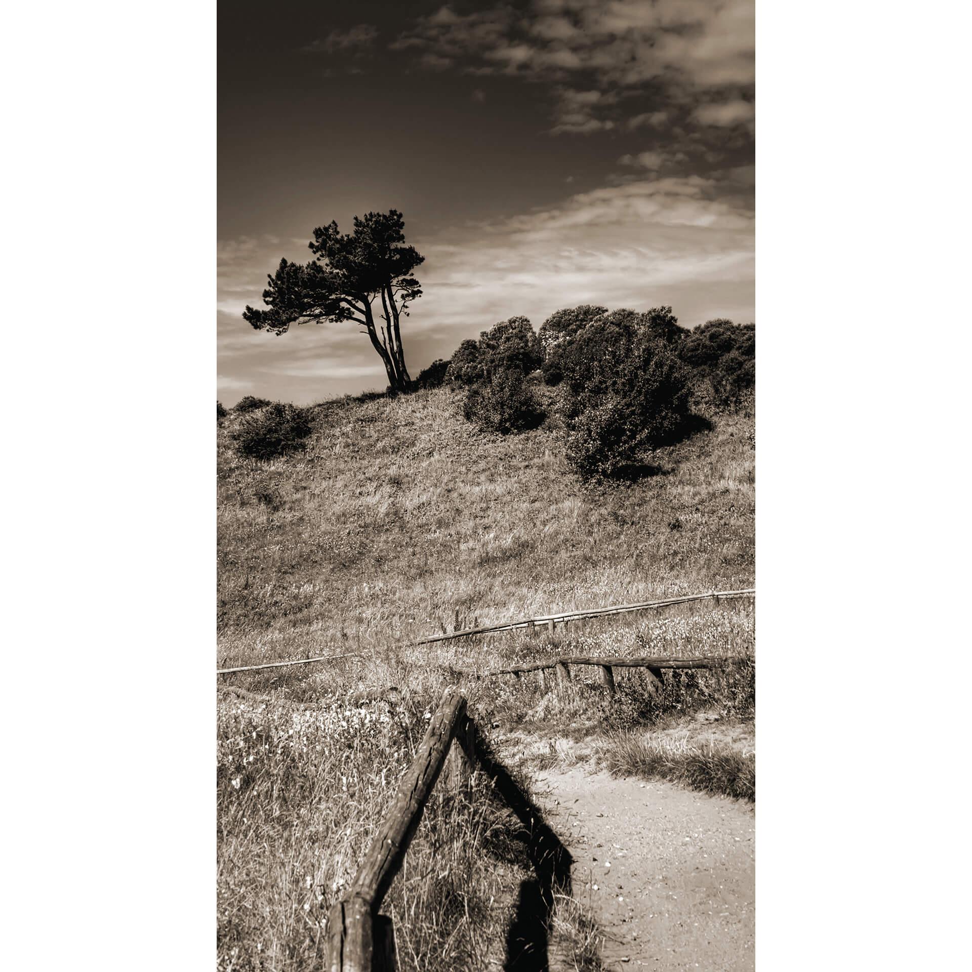 Fotobehang Duinen