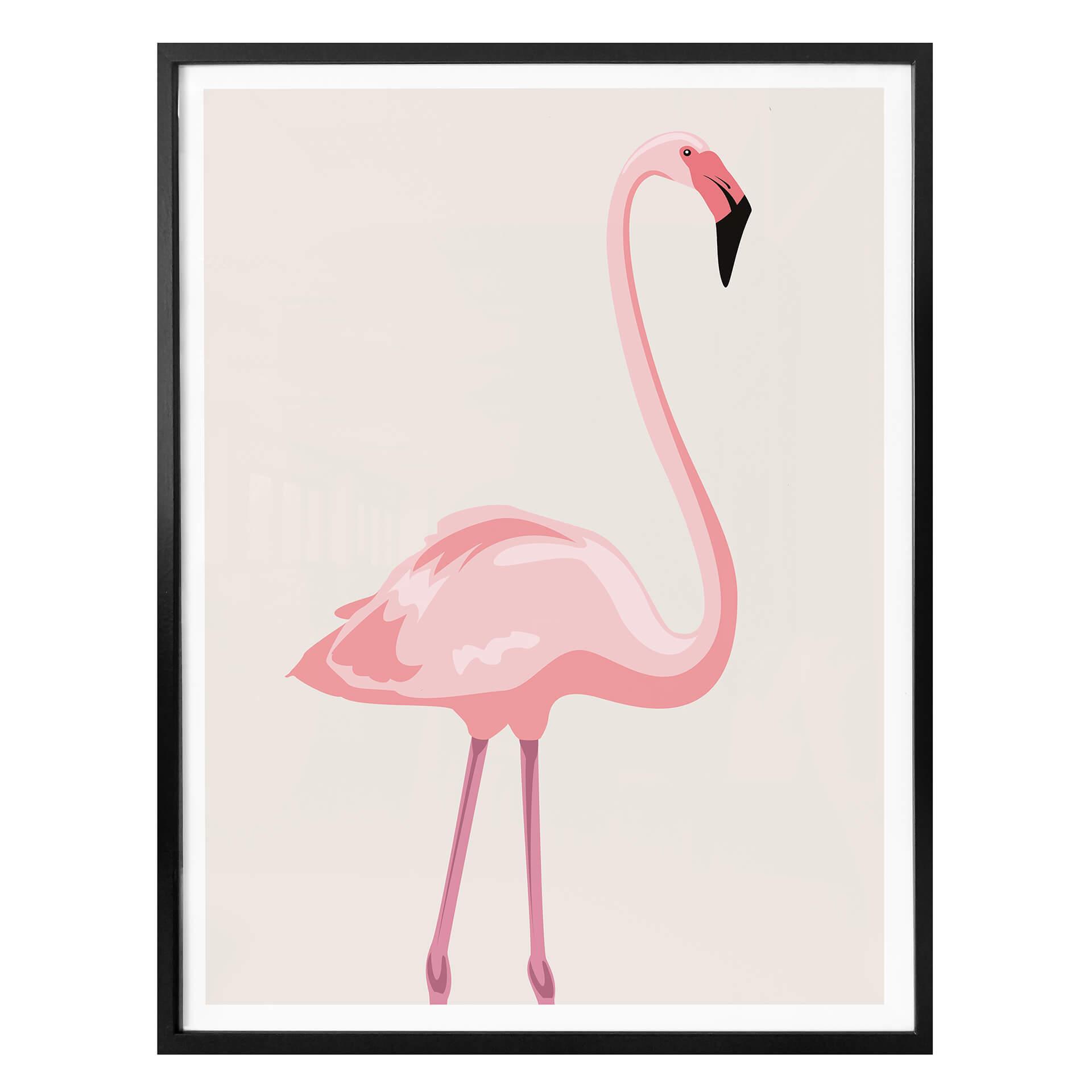 Plakat - Flamingo 01
