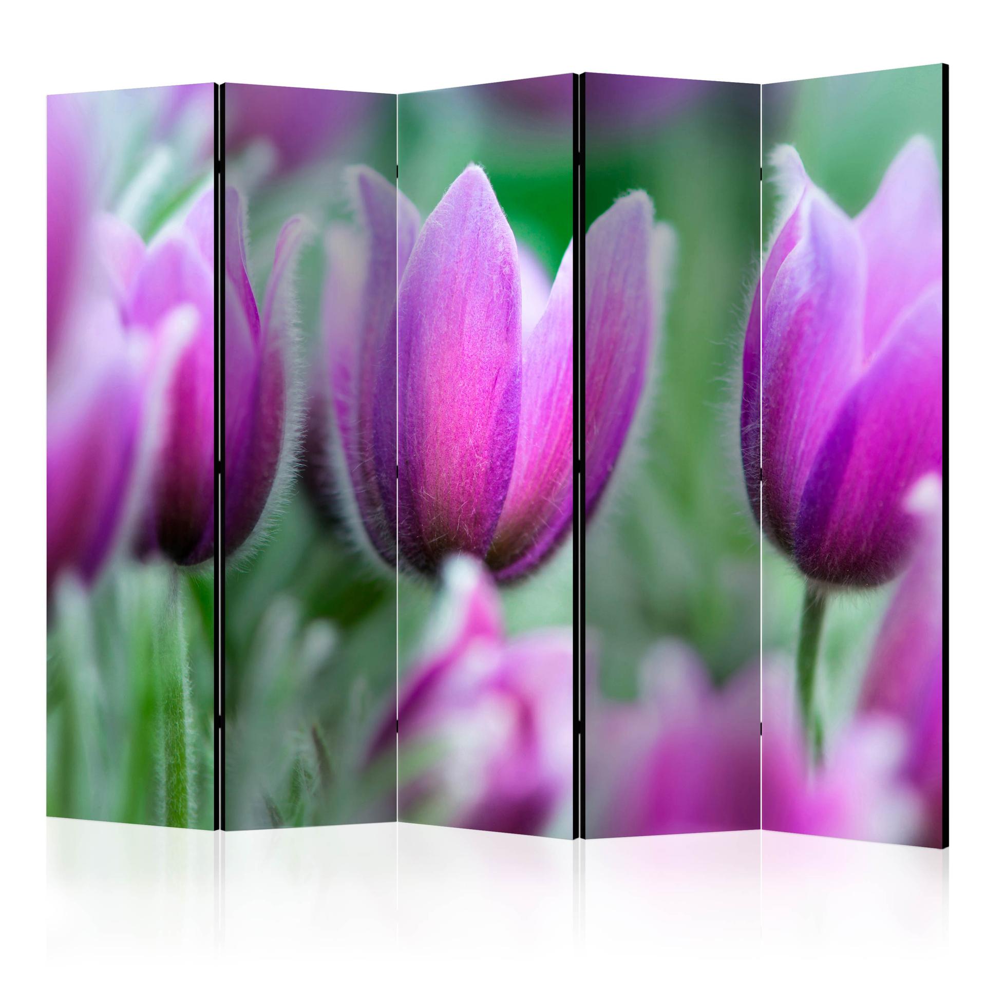 Divisorio - Tulipani primaverili viola, 3 pezzi
