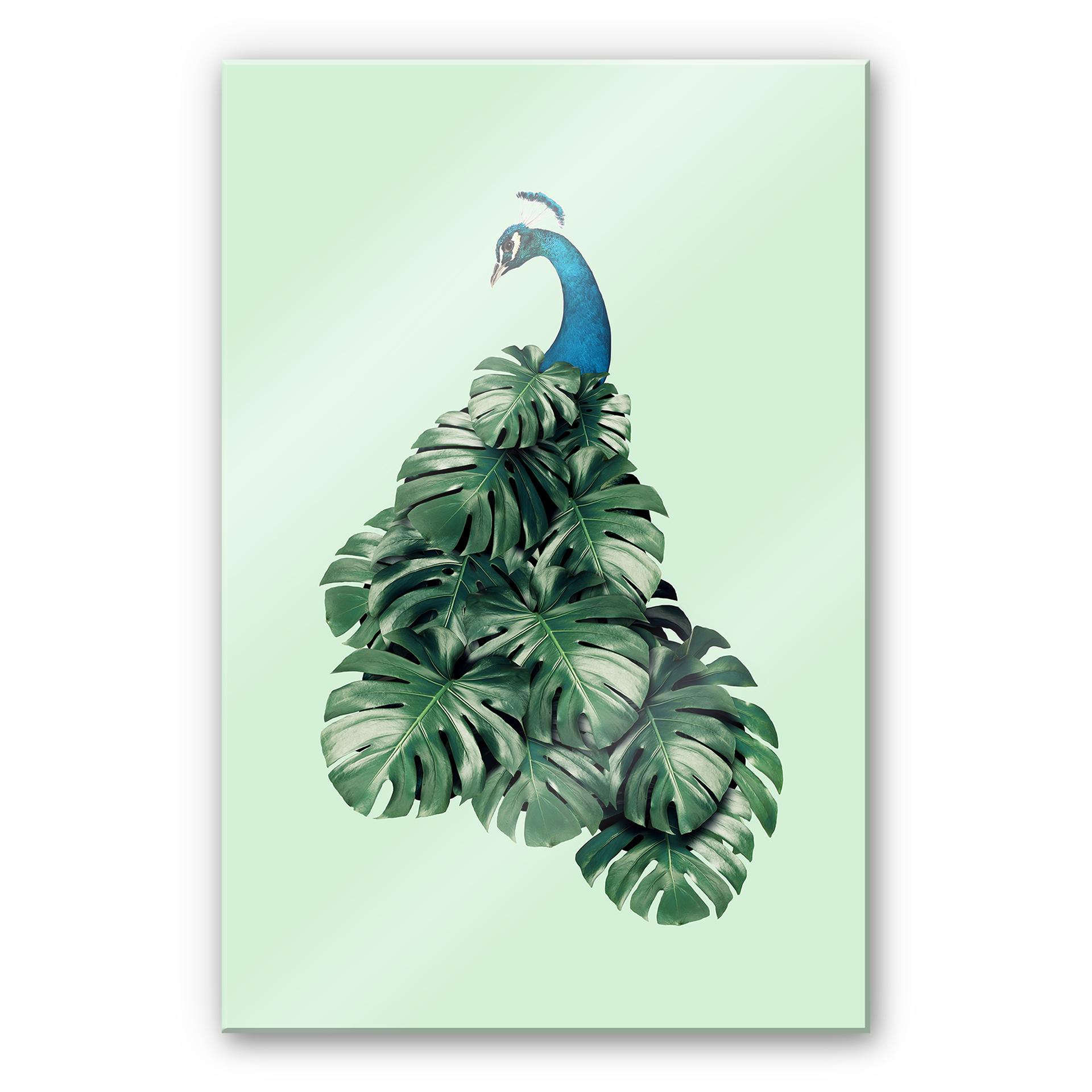 Akrylbillede Løs - Monstera Bird