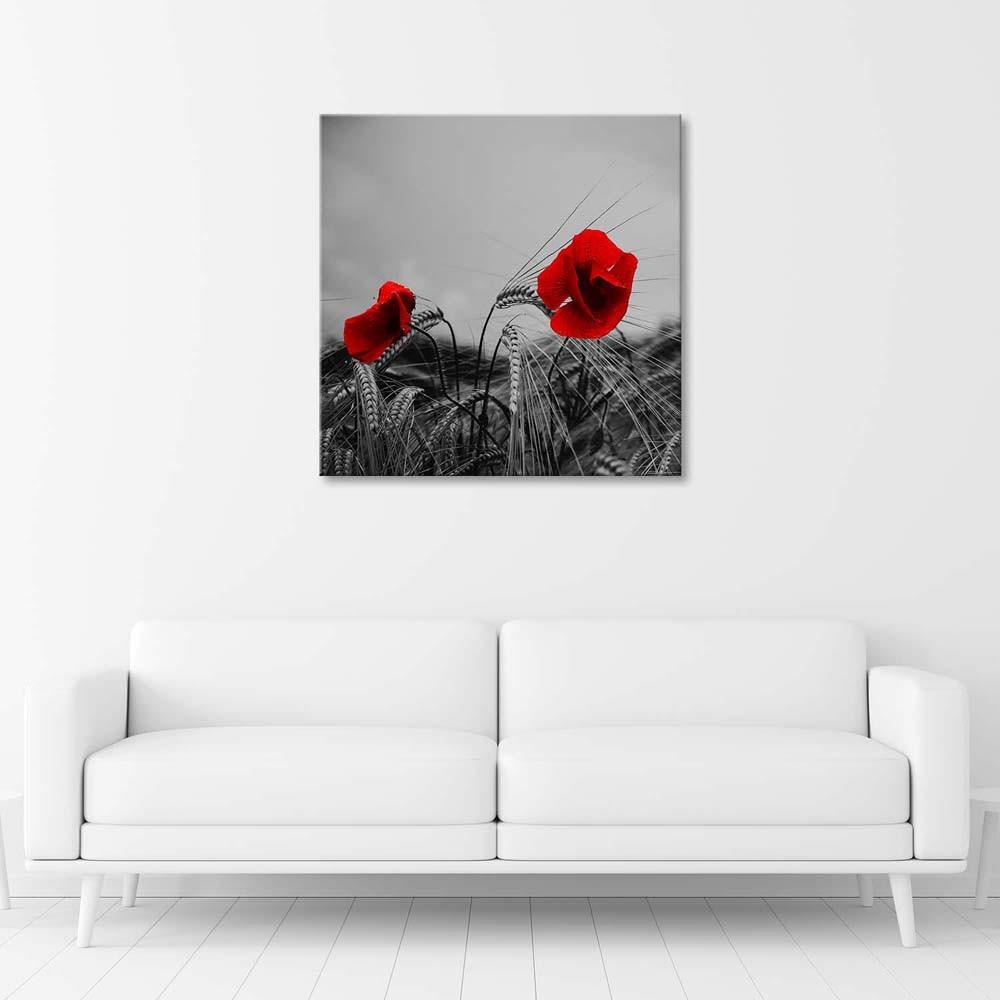 Canvasbillede, Røde valmuer