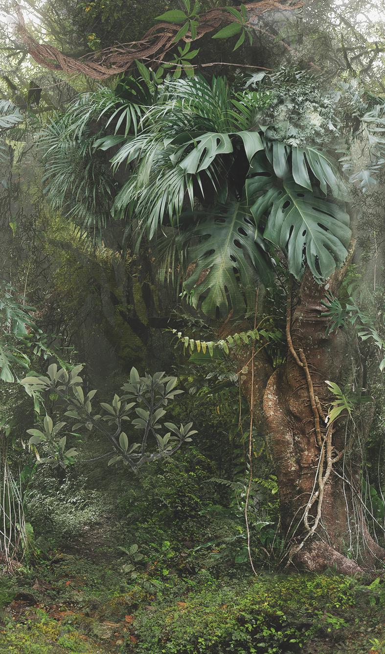 Behang Fotobehang met jungle motief groen,Bloem 2.70 x 1.59 m