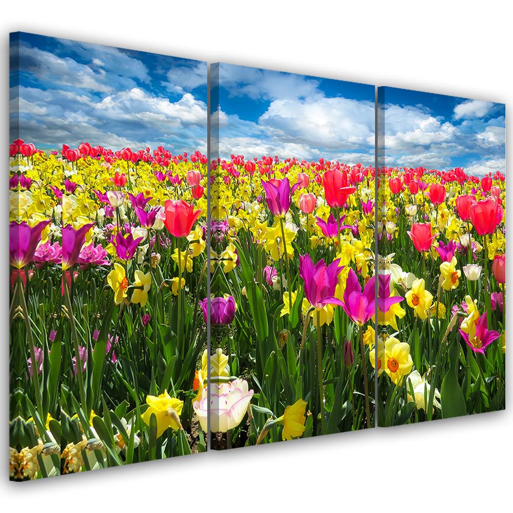 3-delt lærredsprint Farverige tulipaner Blomster Natur