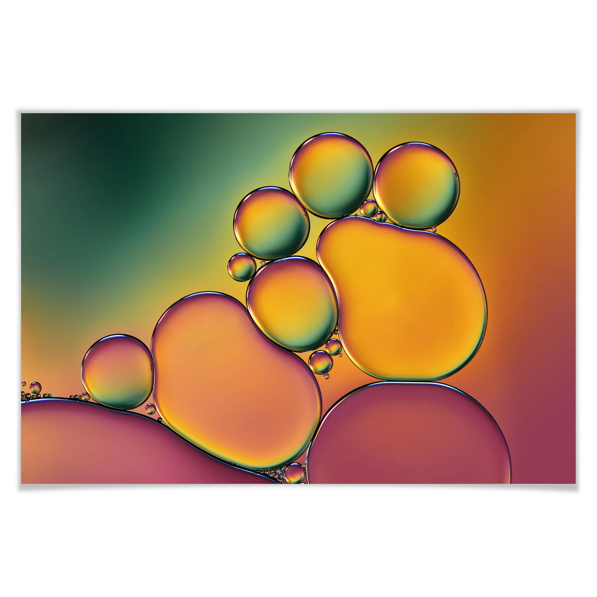 Poster Westum - Bubbles