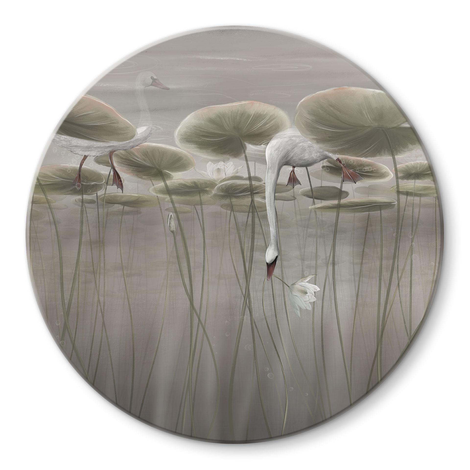 Glasbild Lotusblumen mit Schwan im Wasser in Grau - Ms Tiff - Rund