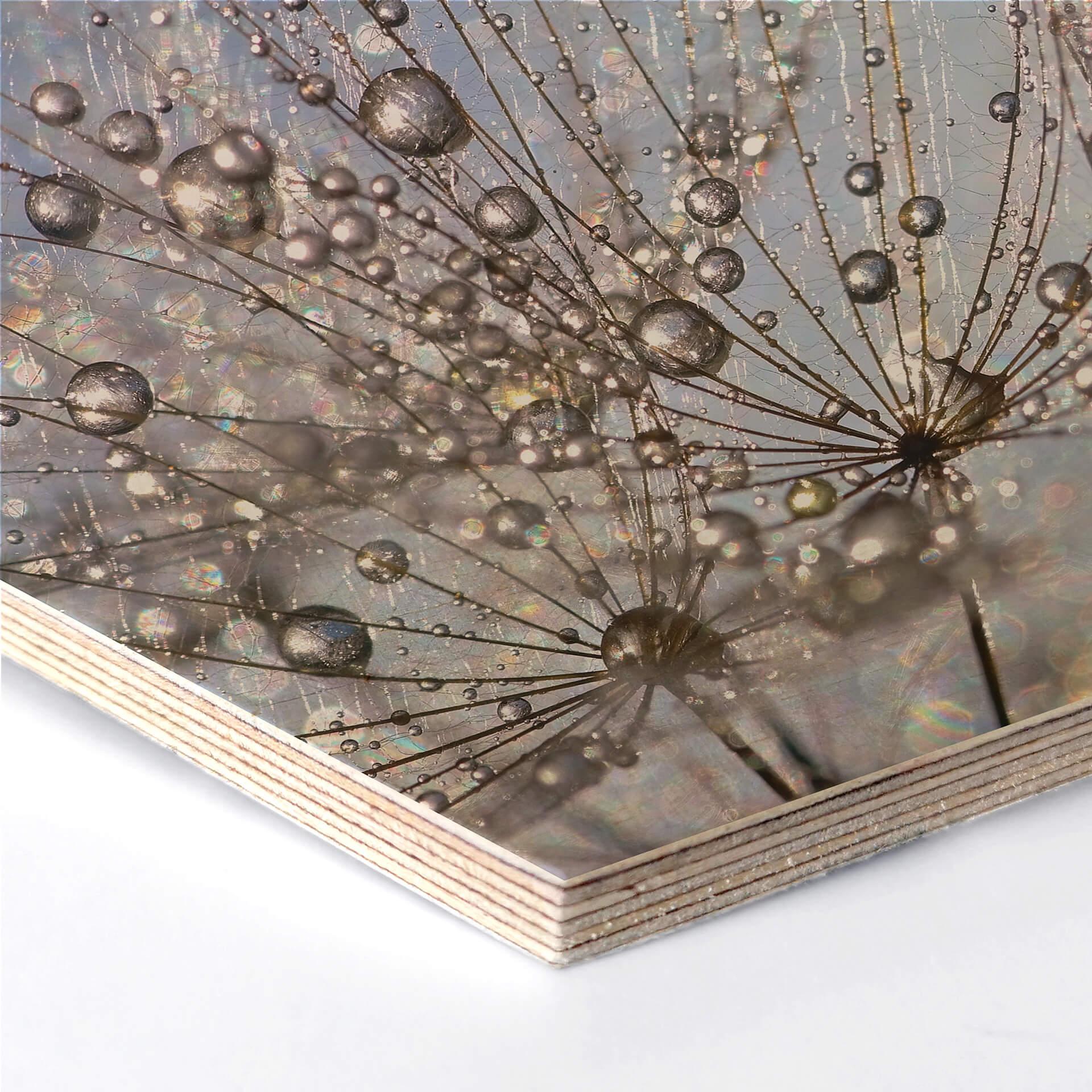 Hexagon - Holz Birke-Furnier Delgado - Wassertropfen in der Pusteblume