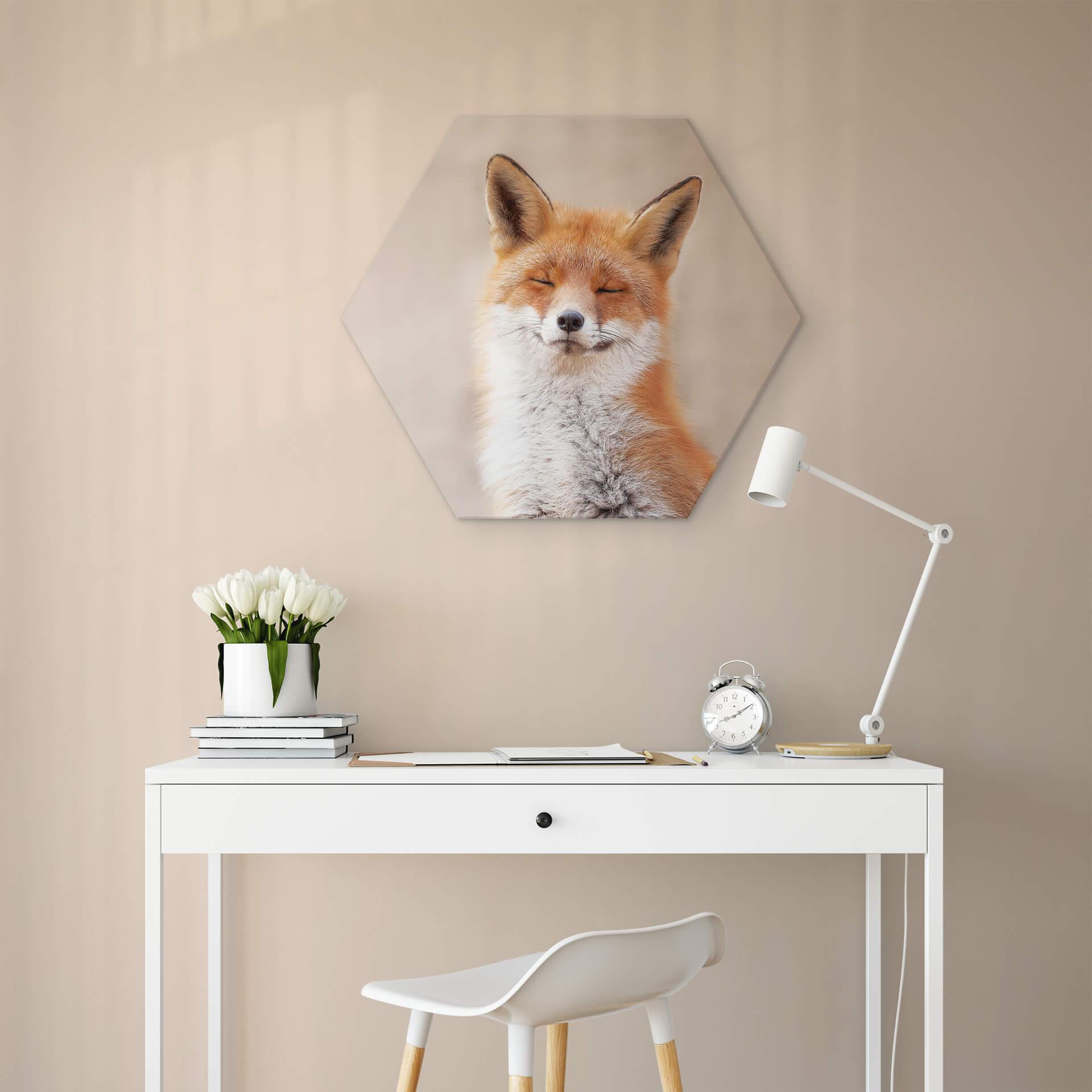 Hexagon Dibond van Duijn - Happy Fox