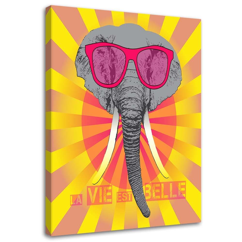 Canvasbillede, Elefant med briller