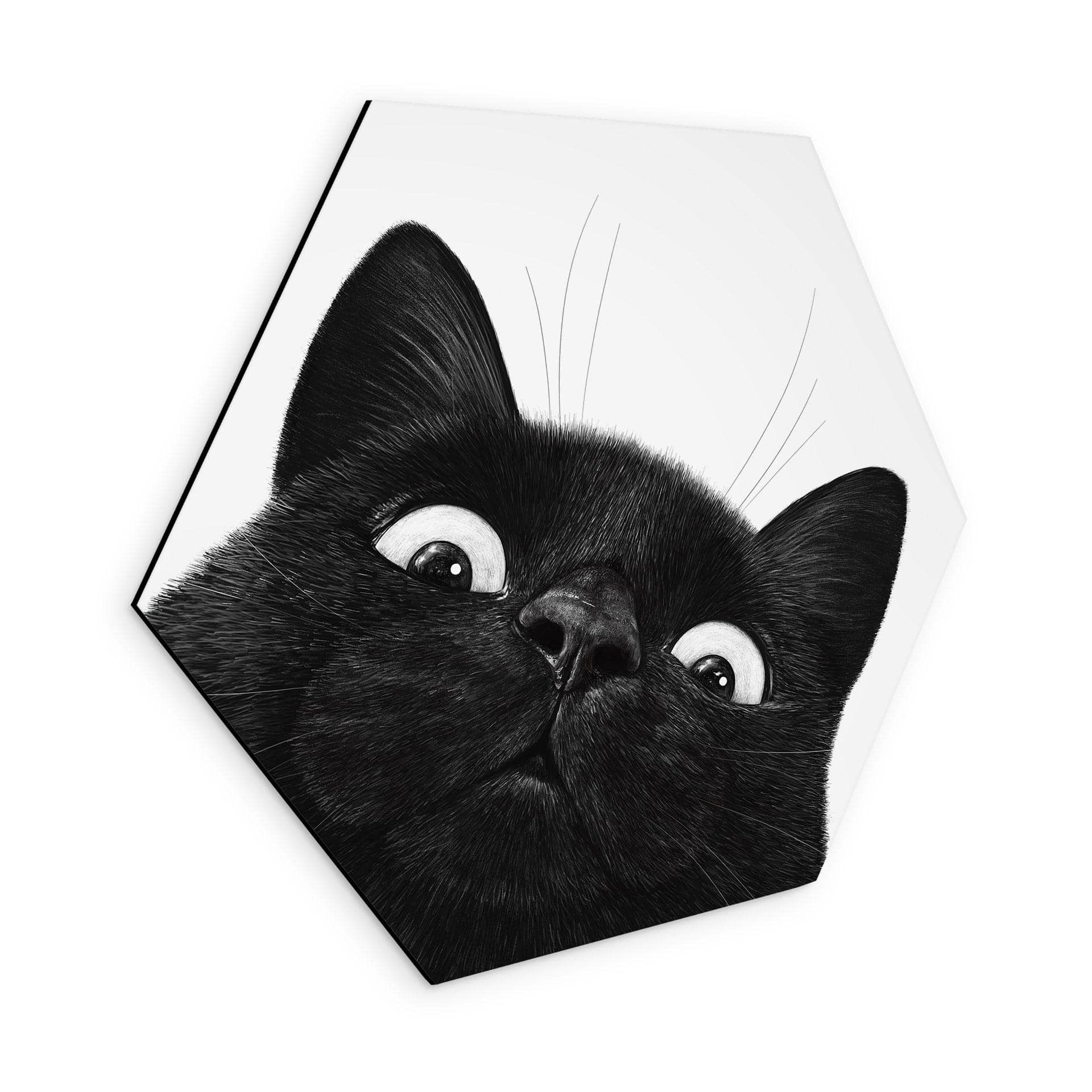 Tableaux Hexagonal Chat noir amusant - Korenkova - Alu-Dibond