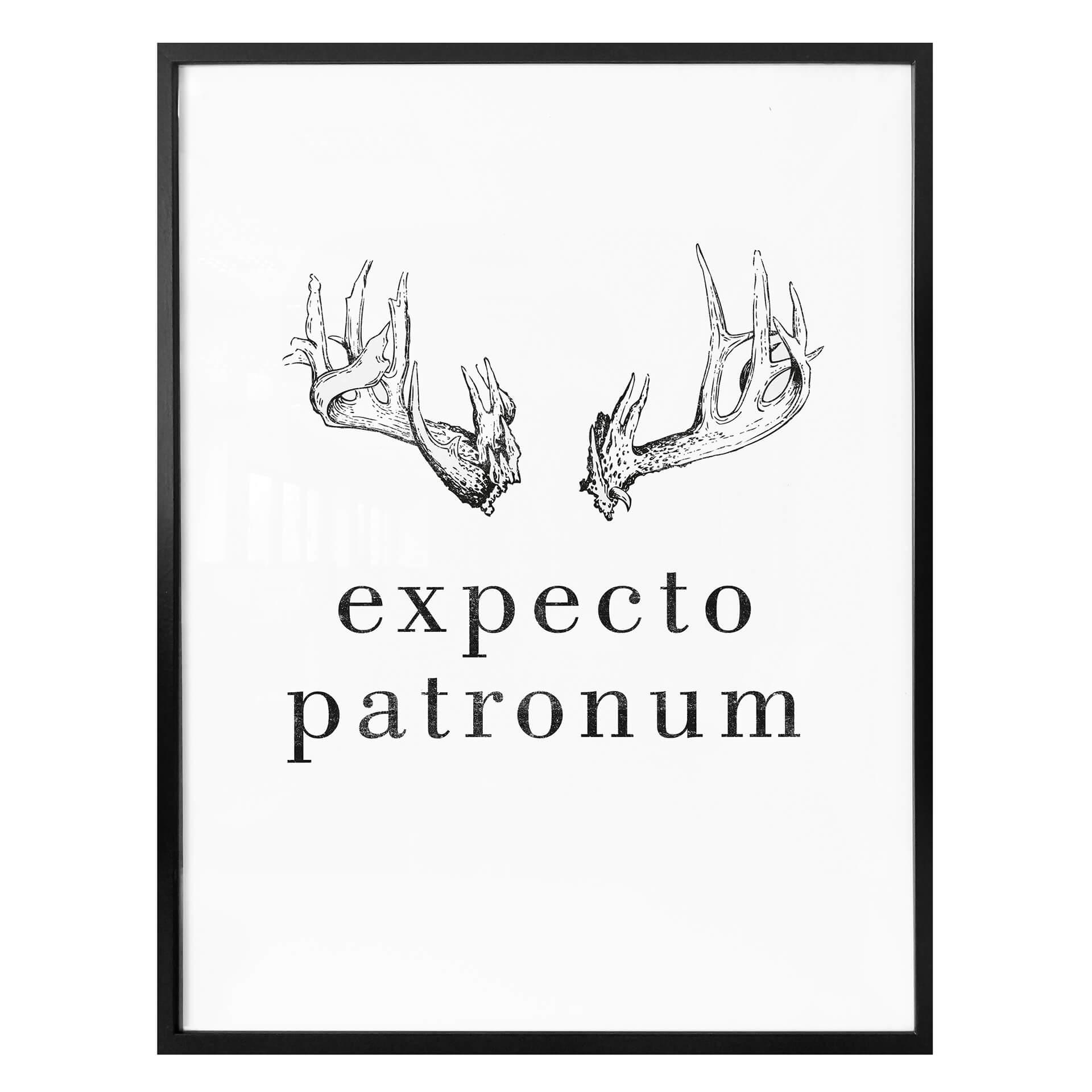 Póster - Expecto Patronum