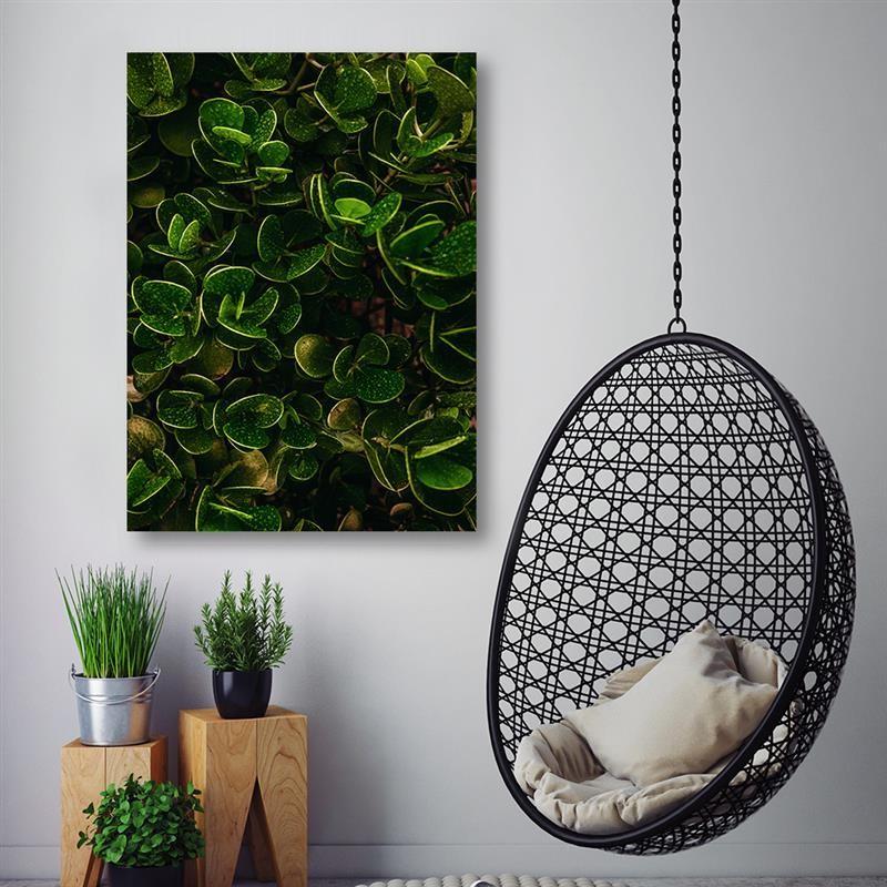 Canvasbillede, Grønne blade af eksotiske planter