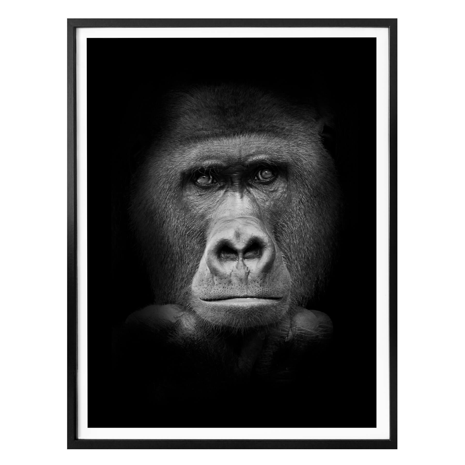 Poster - Gorille