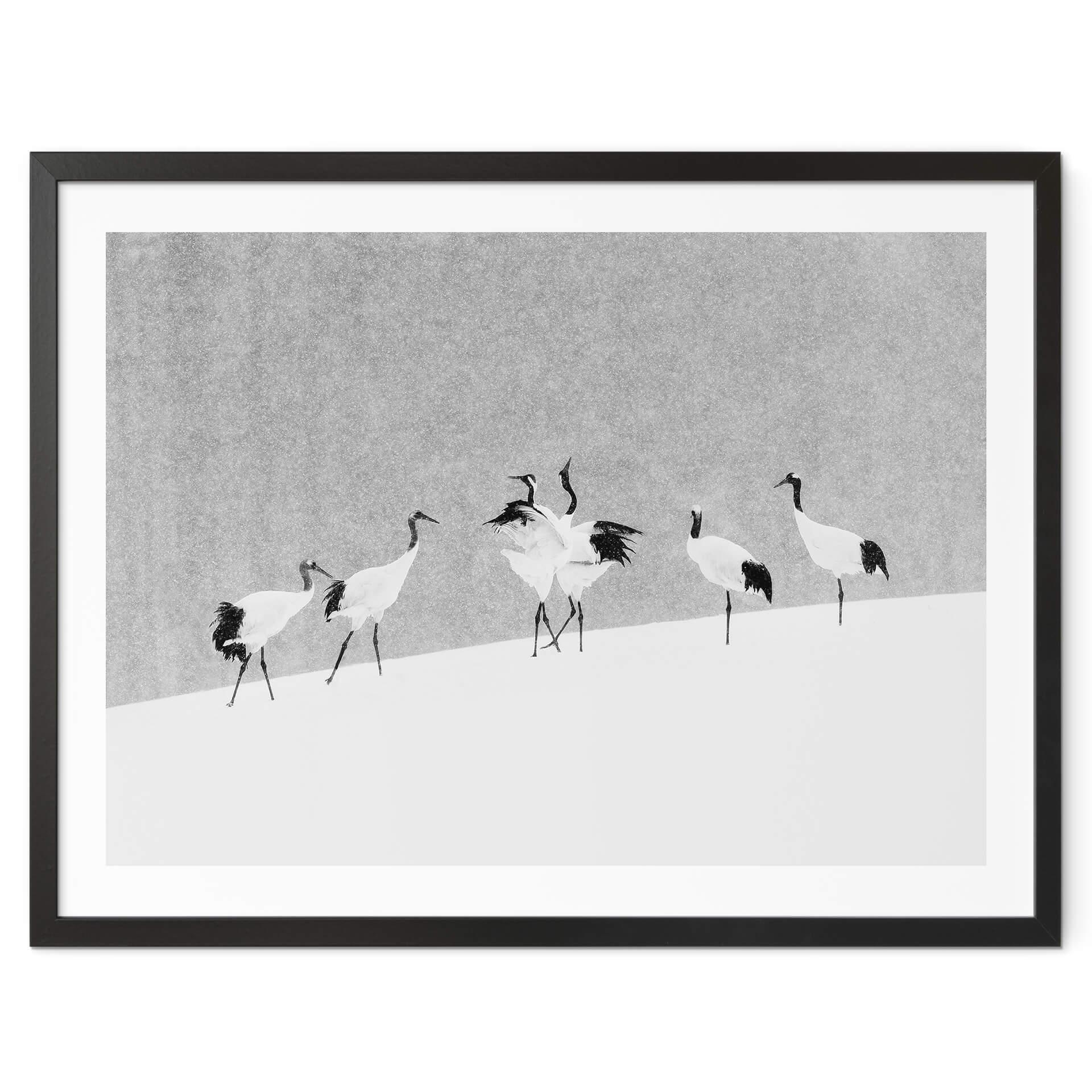 Poster Marchegiani - Des grues dans la neige