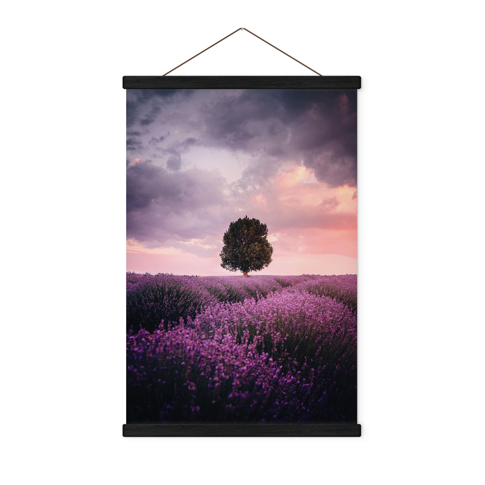 Tekstil plakat Lilla lavendelmarker ved solnedgang - Cevik