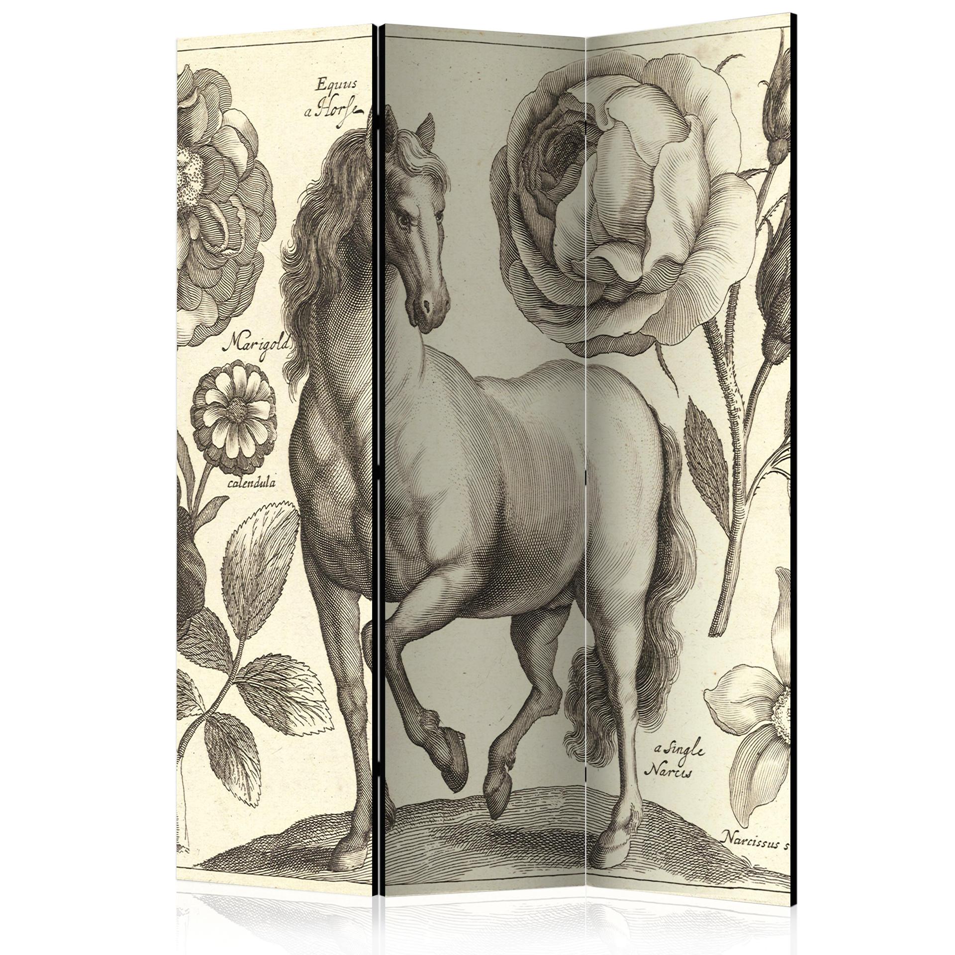 Screen room divider - Hest, 3-delt - 135x172 cm