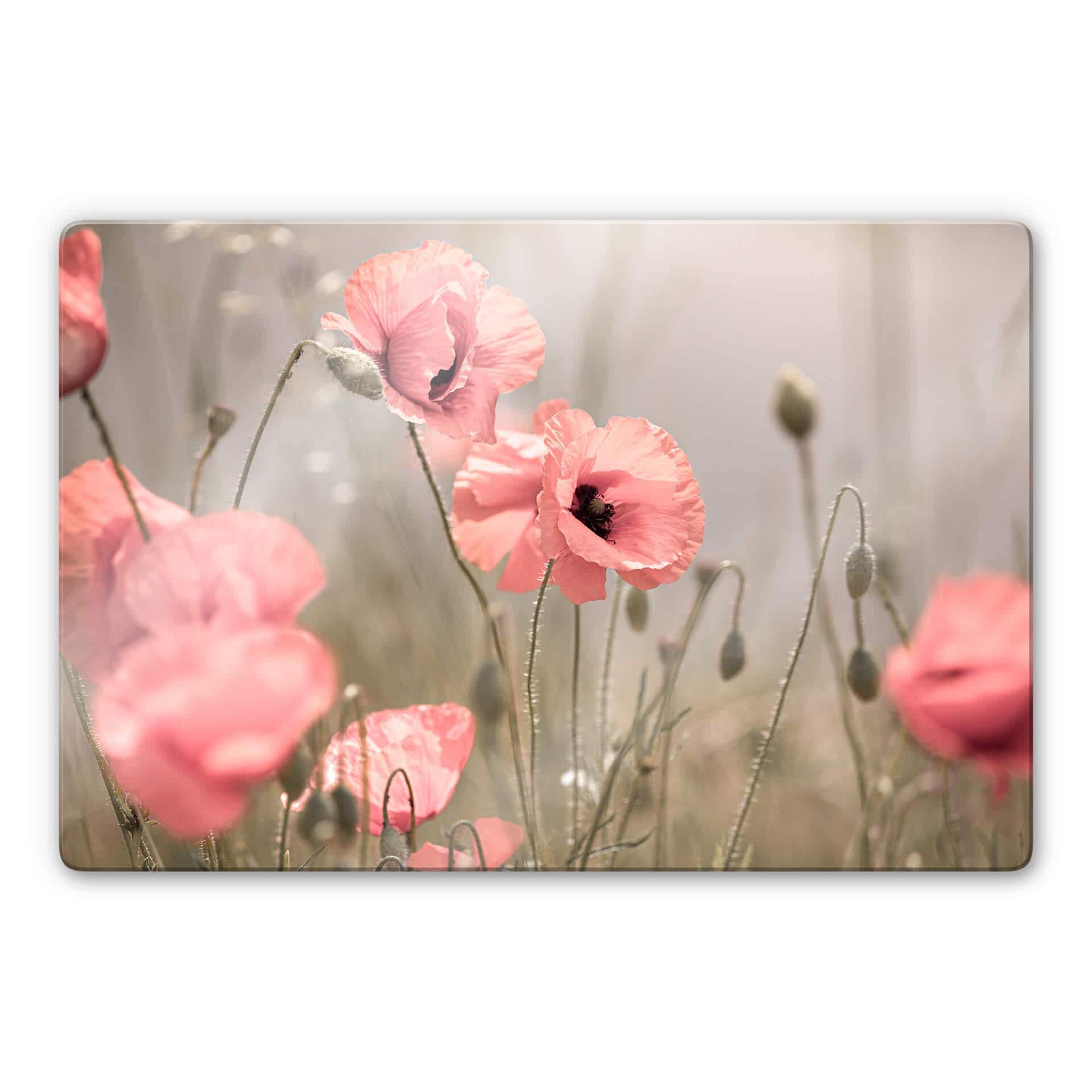 Tableau en verre Delgado - Fleur de coquelicot romantique