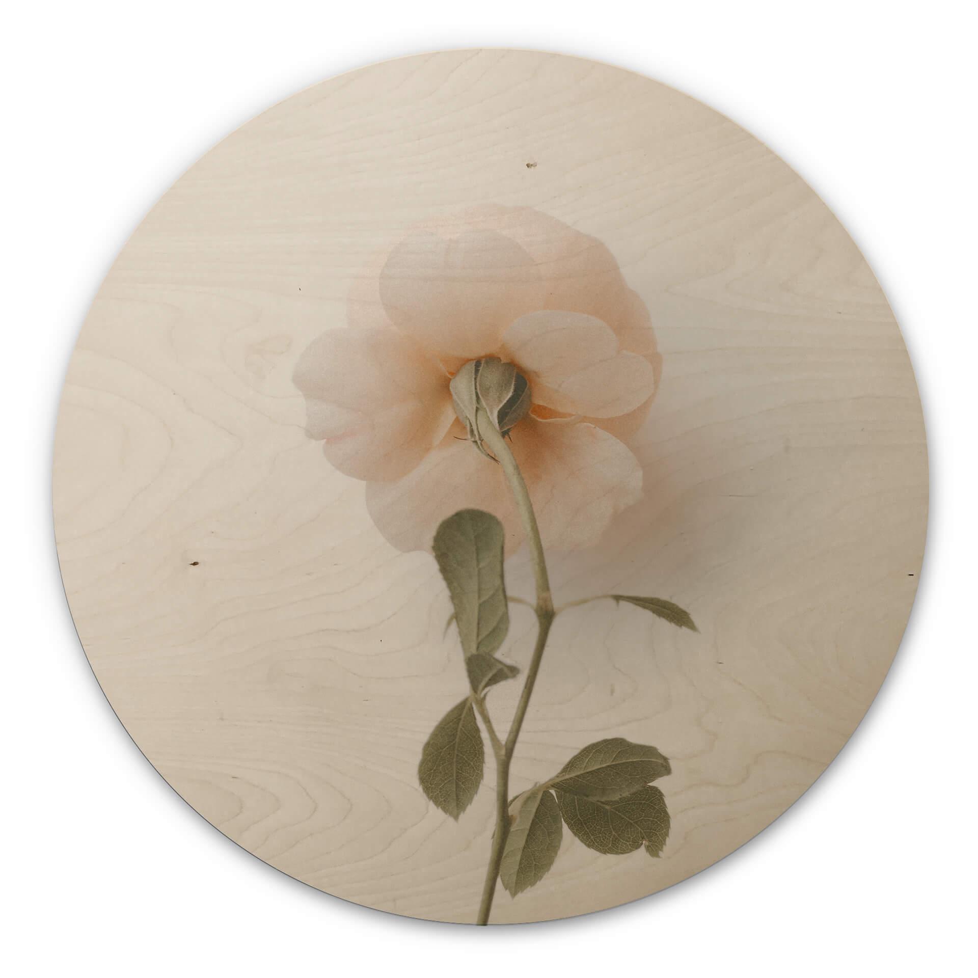 Annie Billede af træ - Rosen - Rund