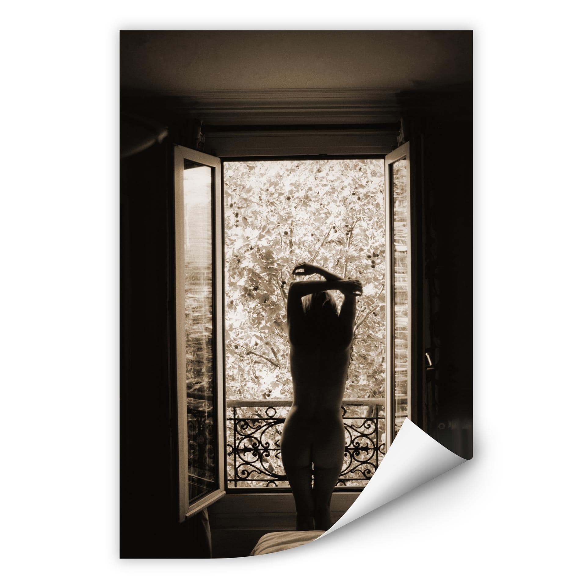 Zelfklevende Poster - View from the Window