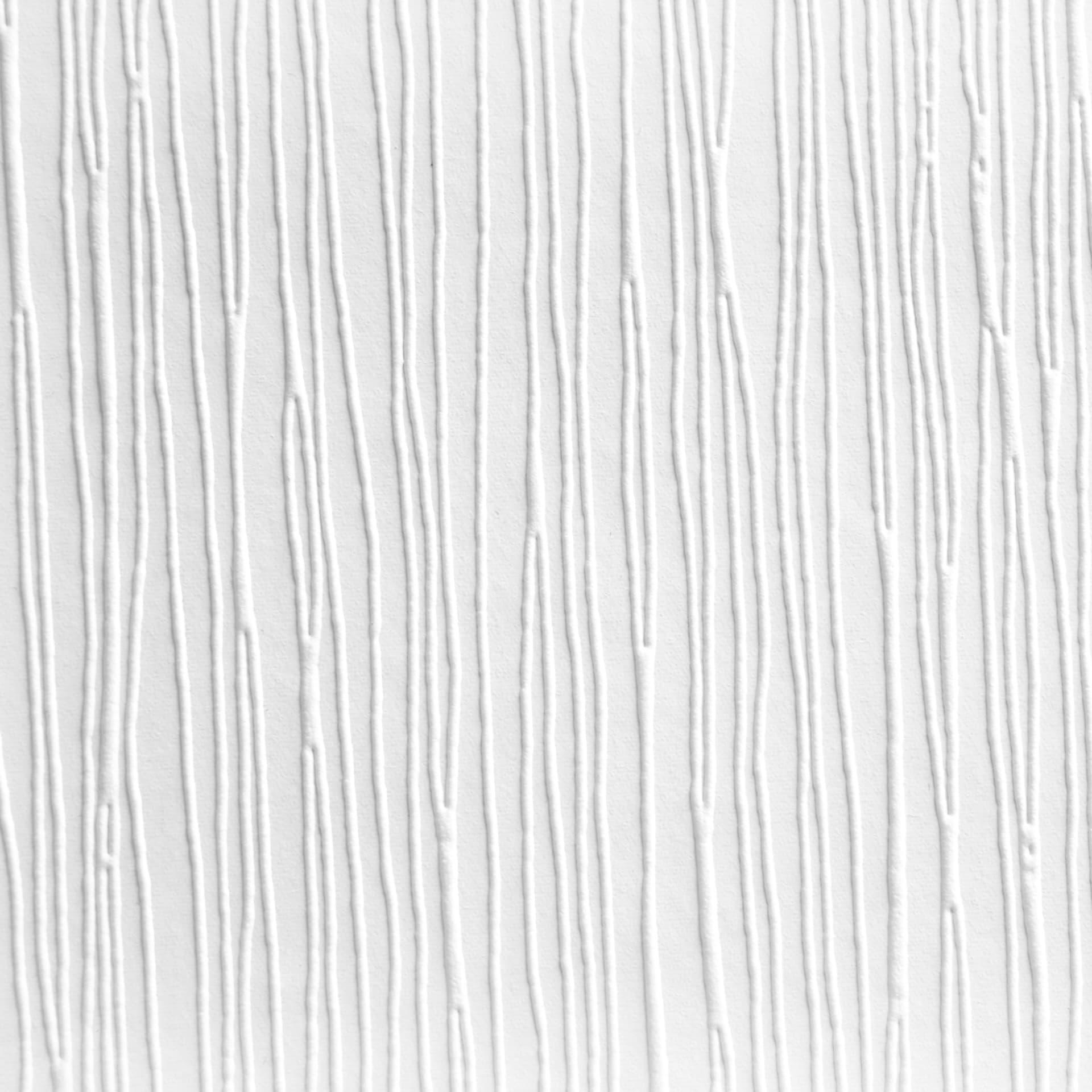 A.S. Création - carta da parati in TNT verniciabile Meistervlies Pro Protect 2 colore bianco
