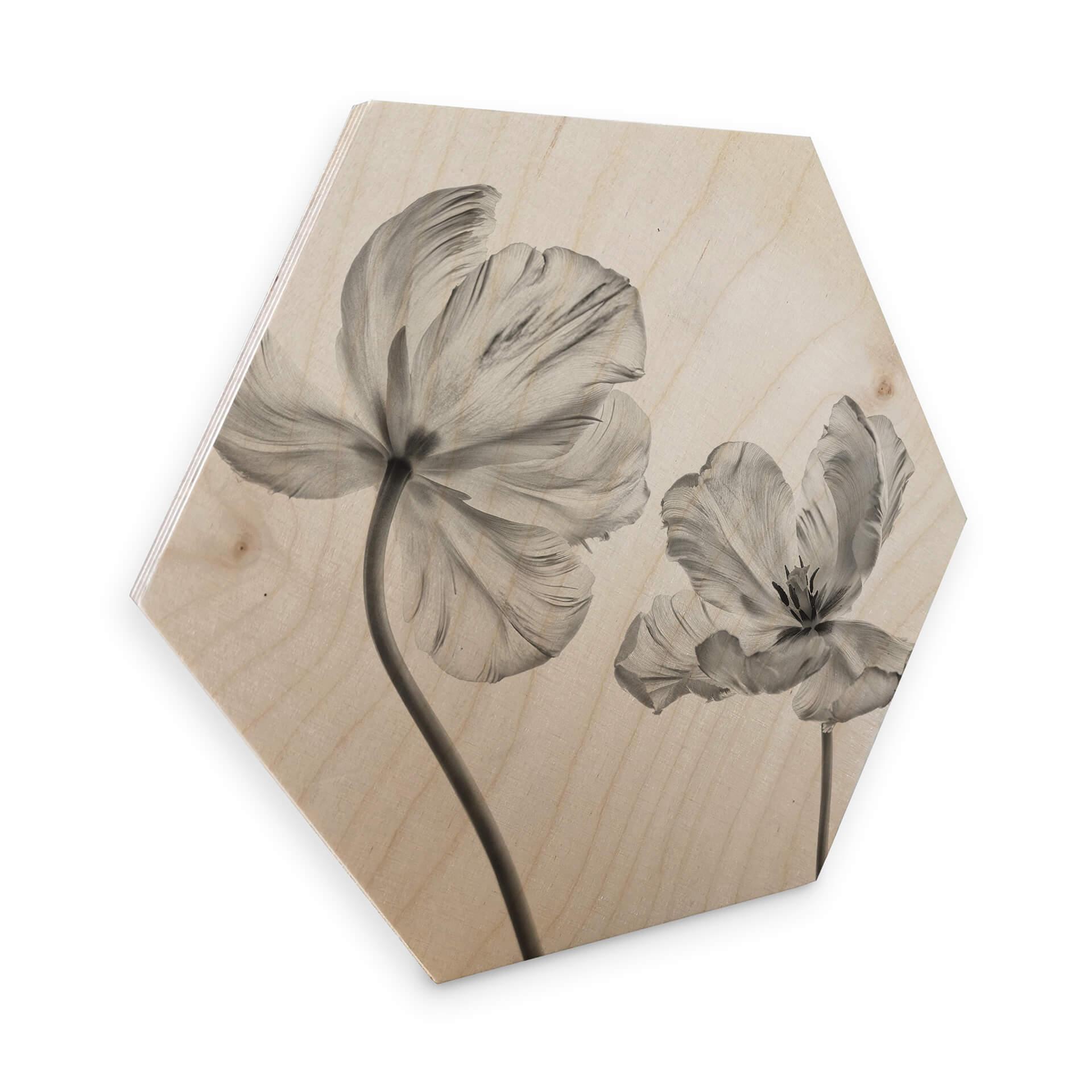 Hexagone - Bois Grønkjær - Tulipes