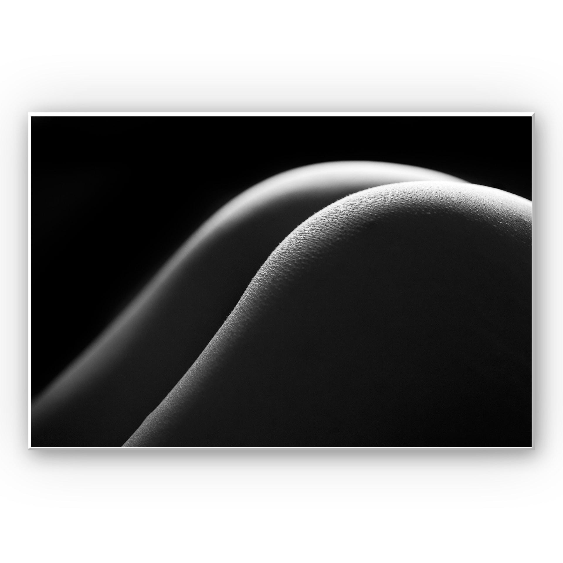 Tableau Forex - Courbes sexy