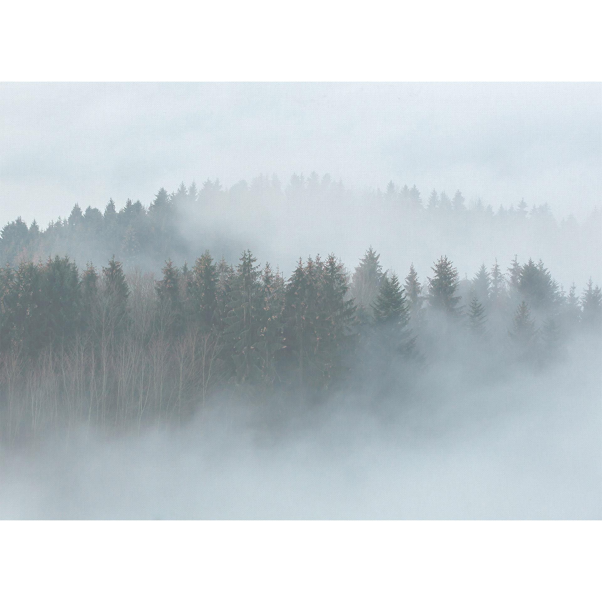Livingwalls Fotobehang Designwalls Misty Forest