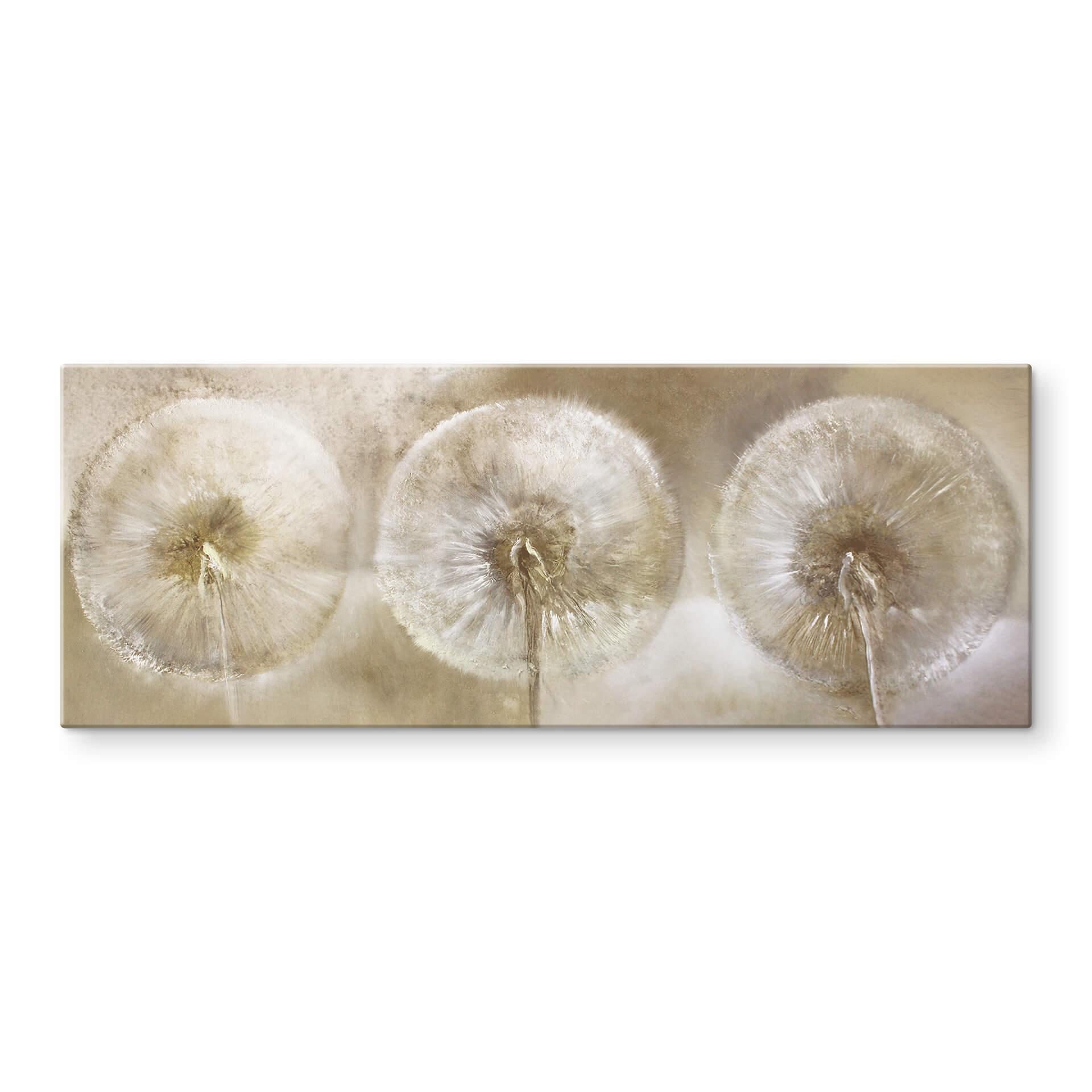 Tableau sur verre acrylique Schmucker Trois pissenlits - Panorama
