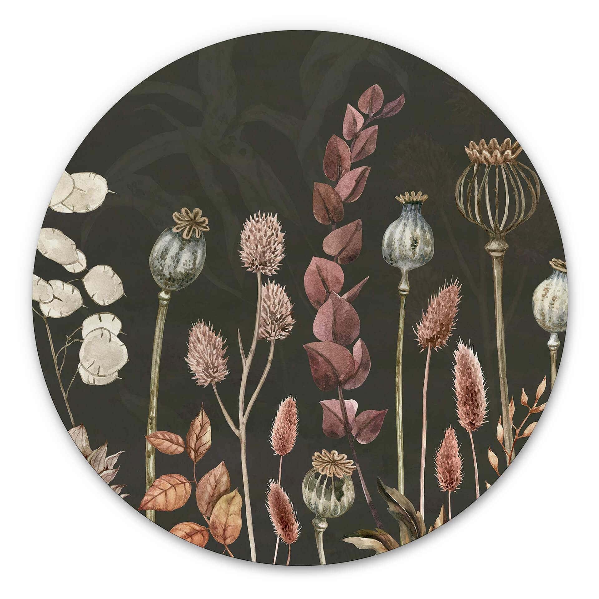 Tableau sur alu-Dibond rond Sir Edward - Olive Fleurs Séchées