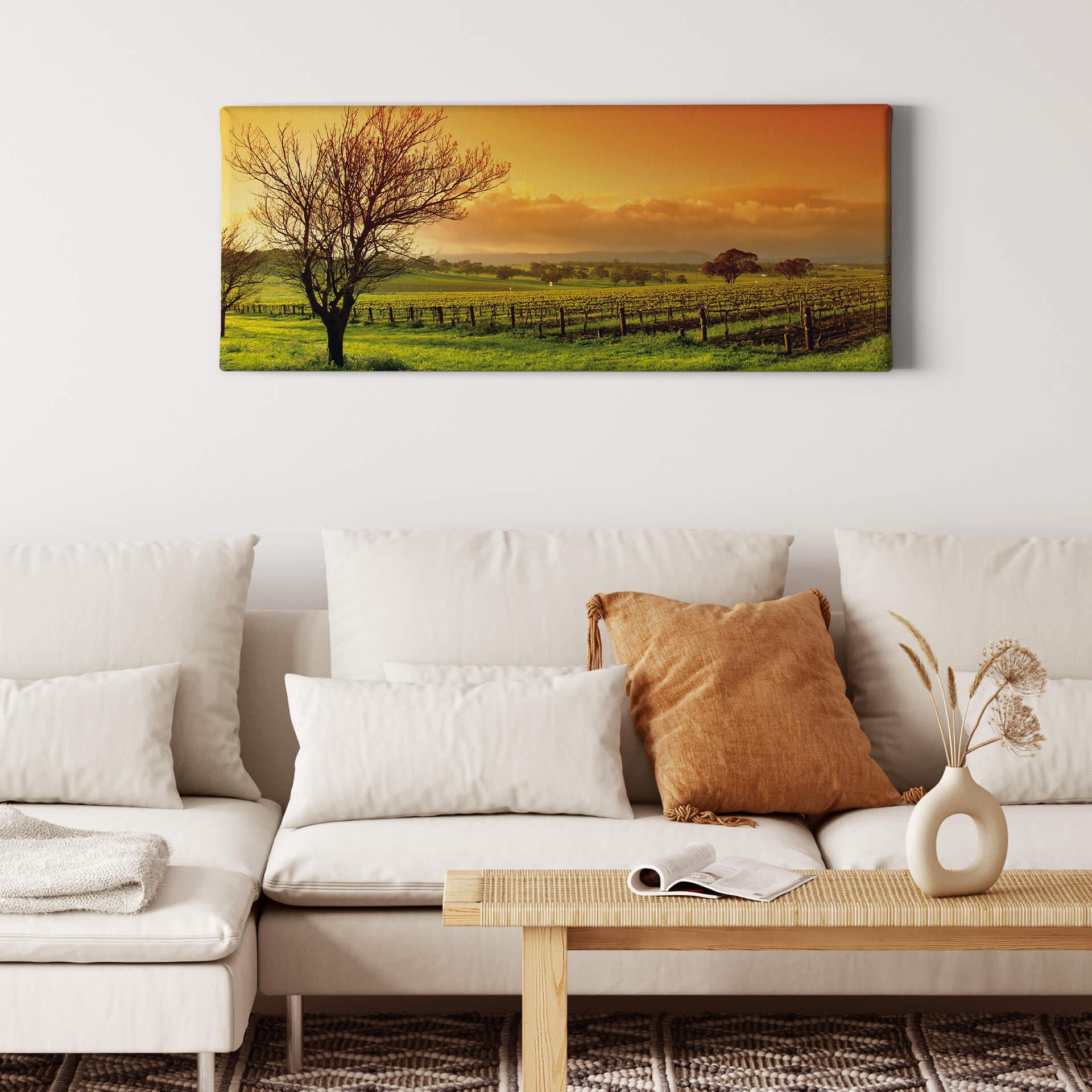 Canvas Wijngaard Panorama
