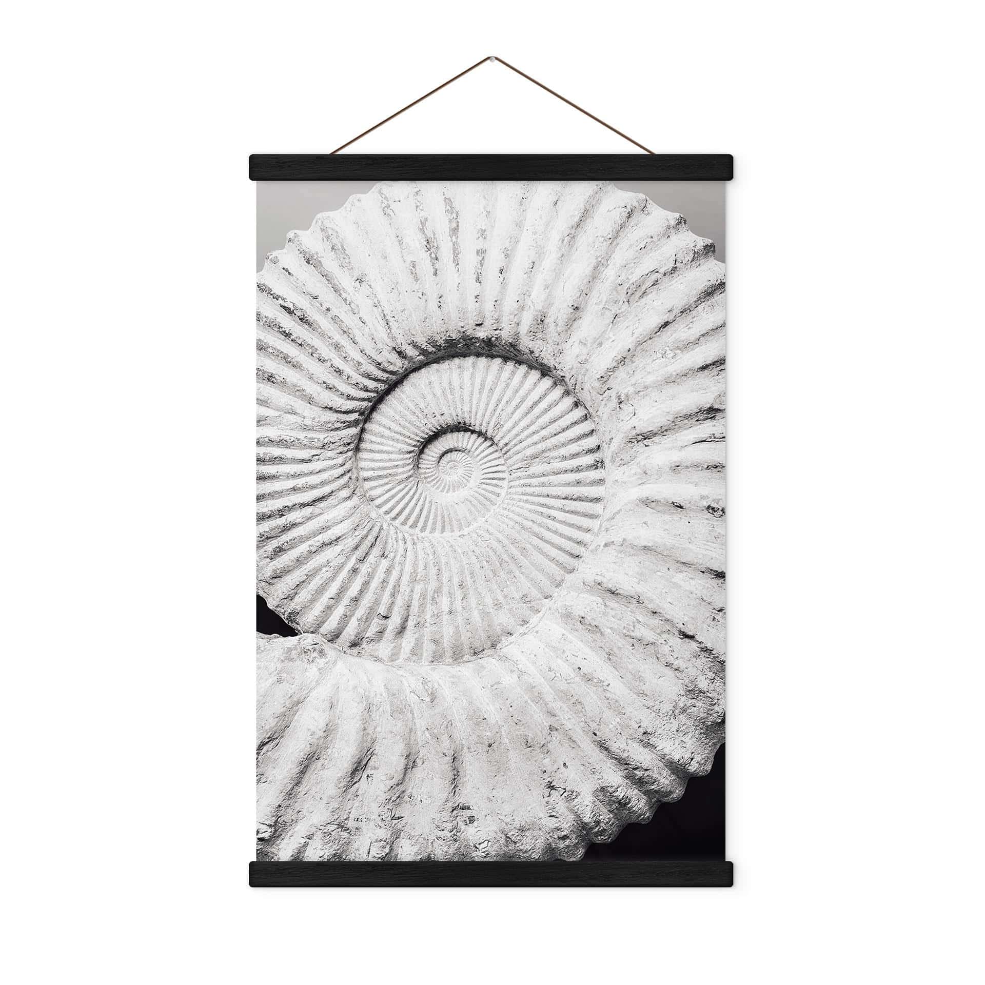Tekstil plakat Fossil muslingeskal - Shot-by-Clint