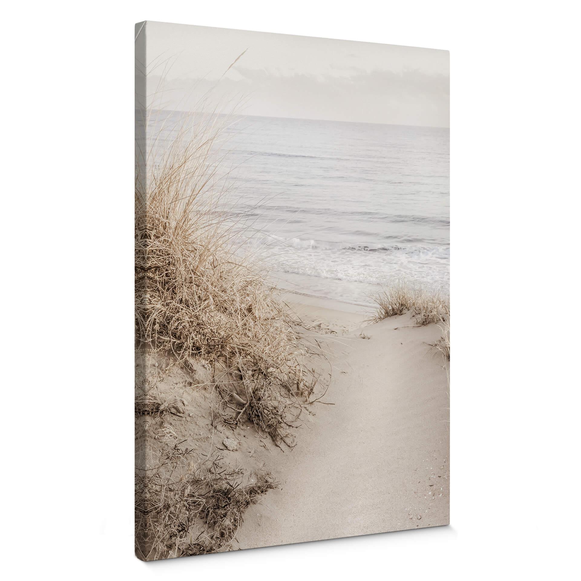 Canvastavla 1X Studio - Sanddyner på stranden