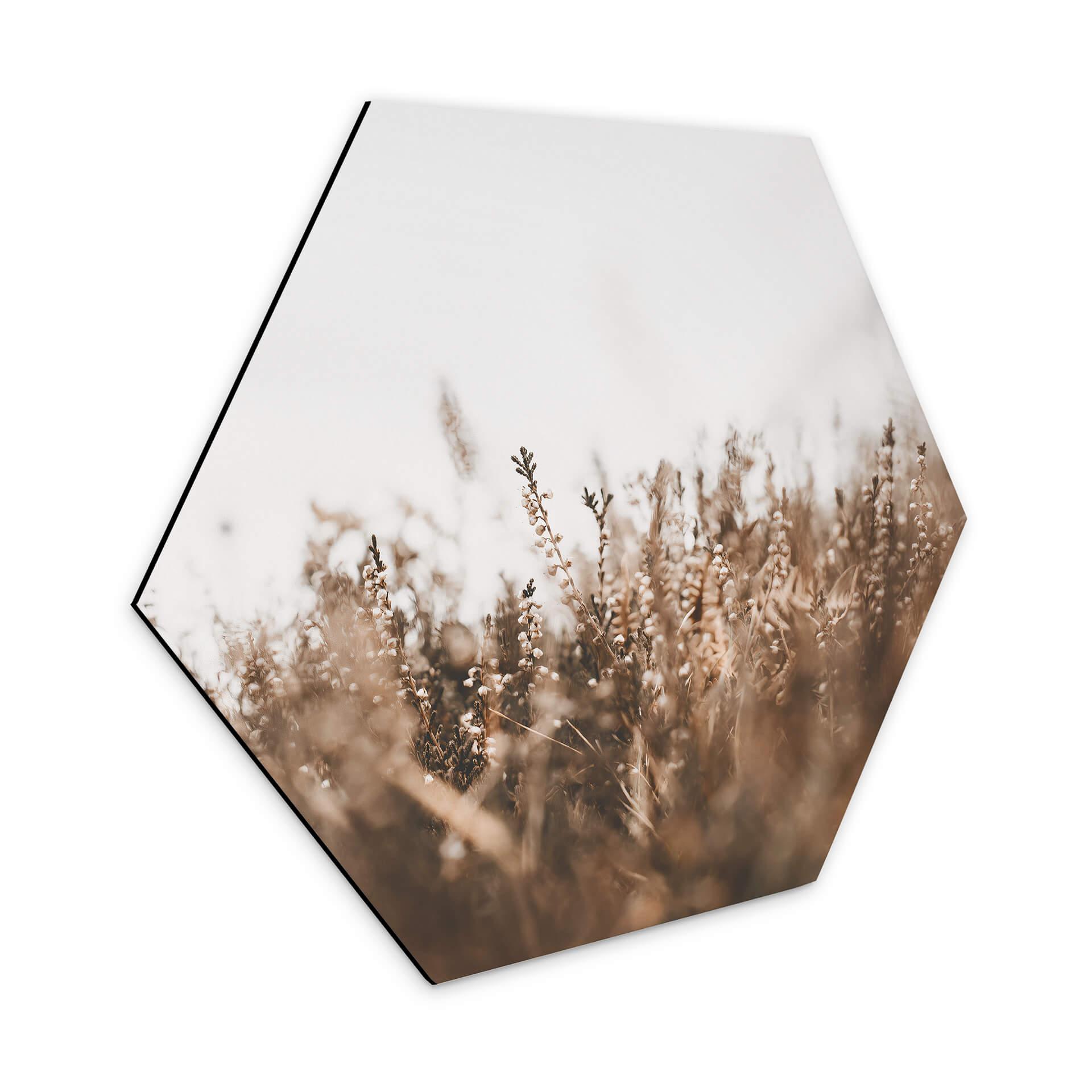 Hexagone - Alu-Dibond Annie - Herbes des prés