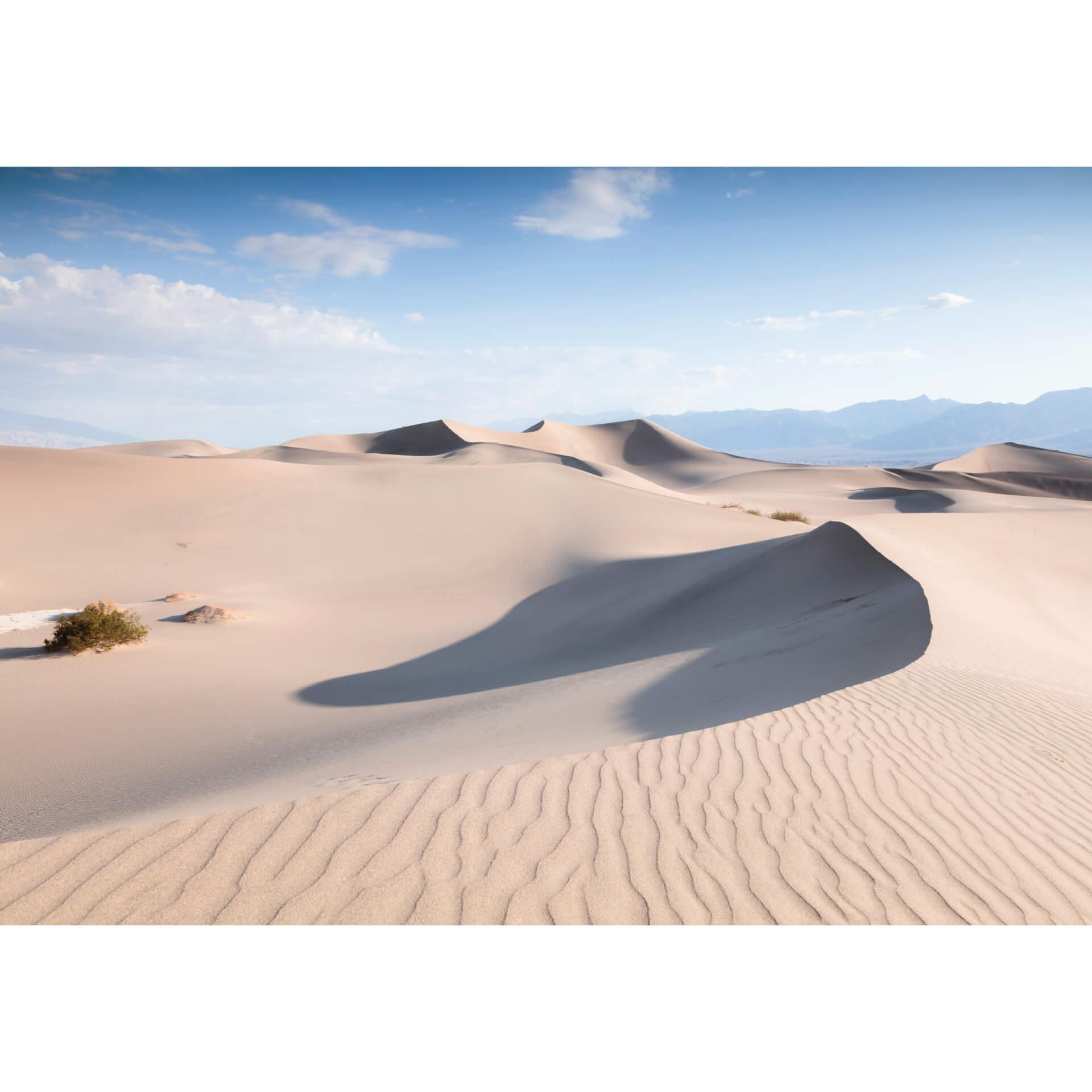 Fotobehang Colombo - Desert Day