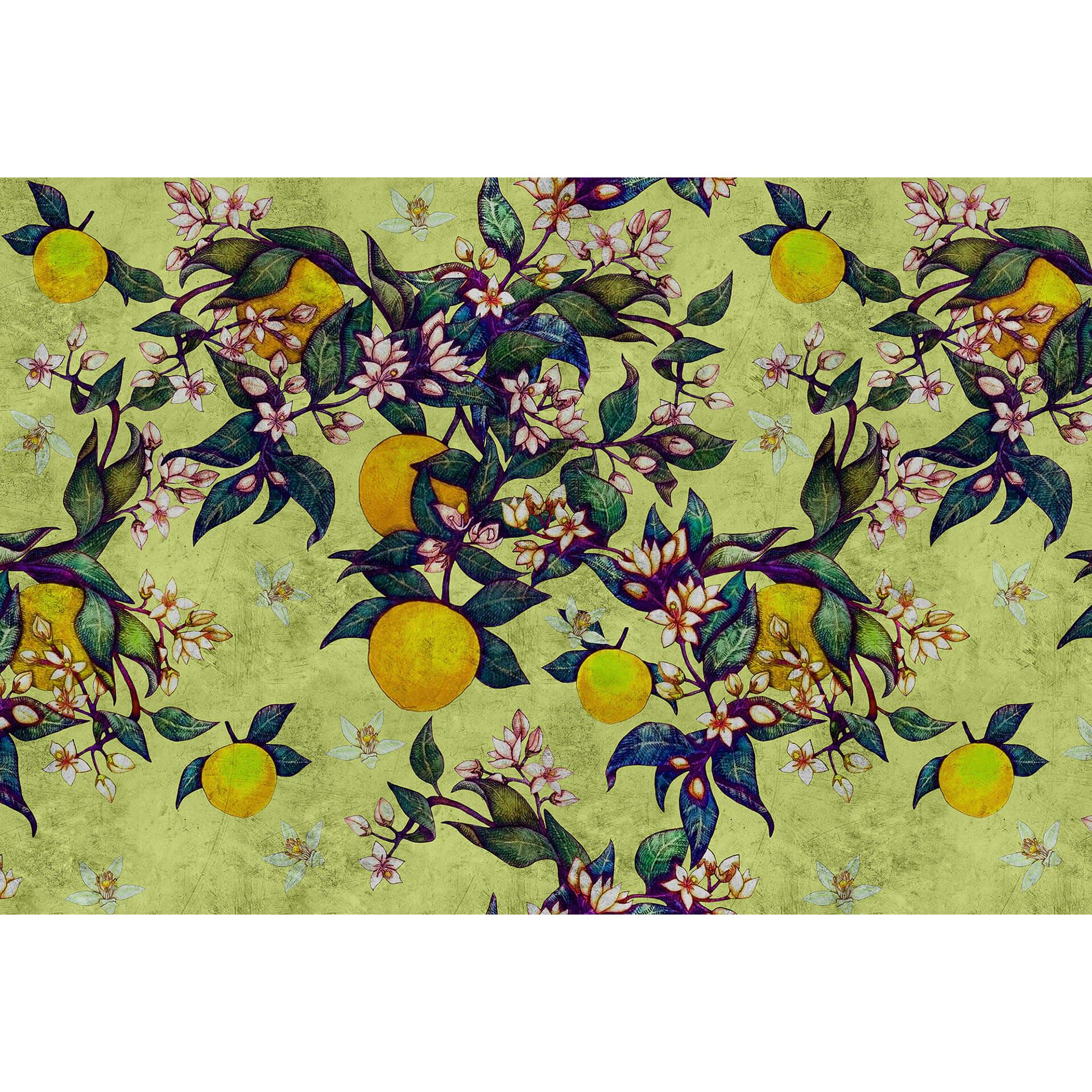 Livingwalls Fotobehang Walls by Patel 2 grapefruit tree 1