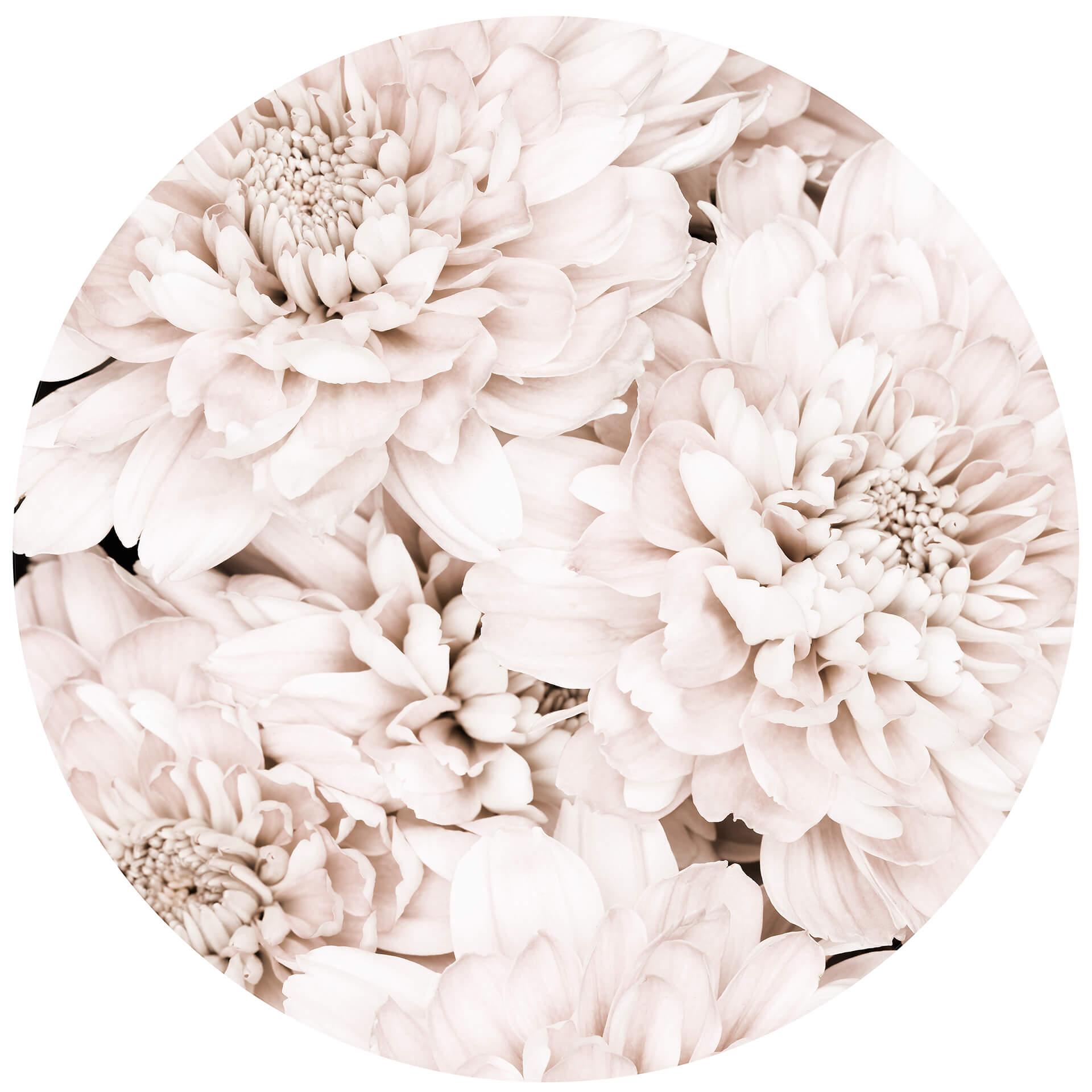 Behangcirkel 1X Studio - Apricot Aster - vliesbehang/zelfklevend vliesbehang