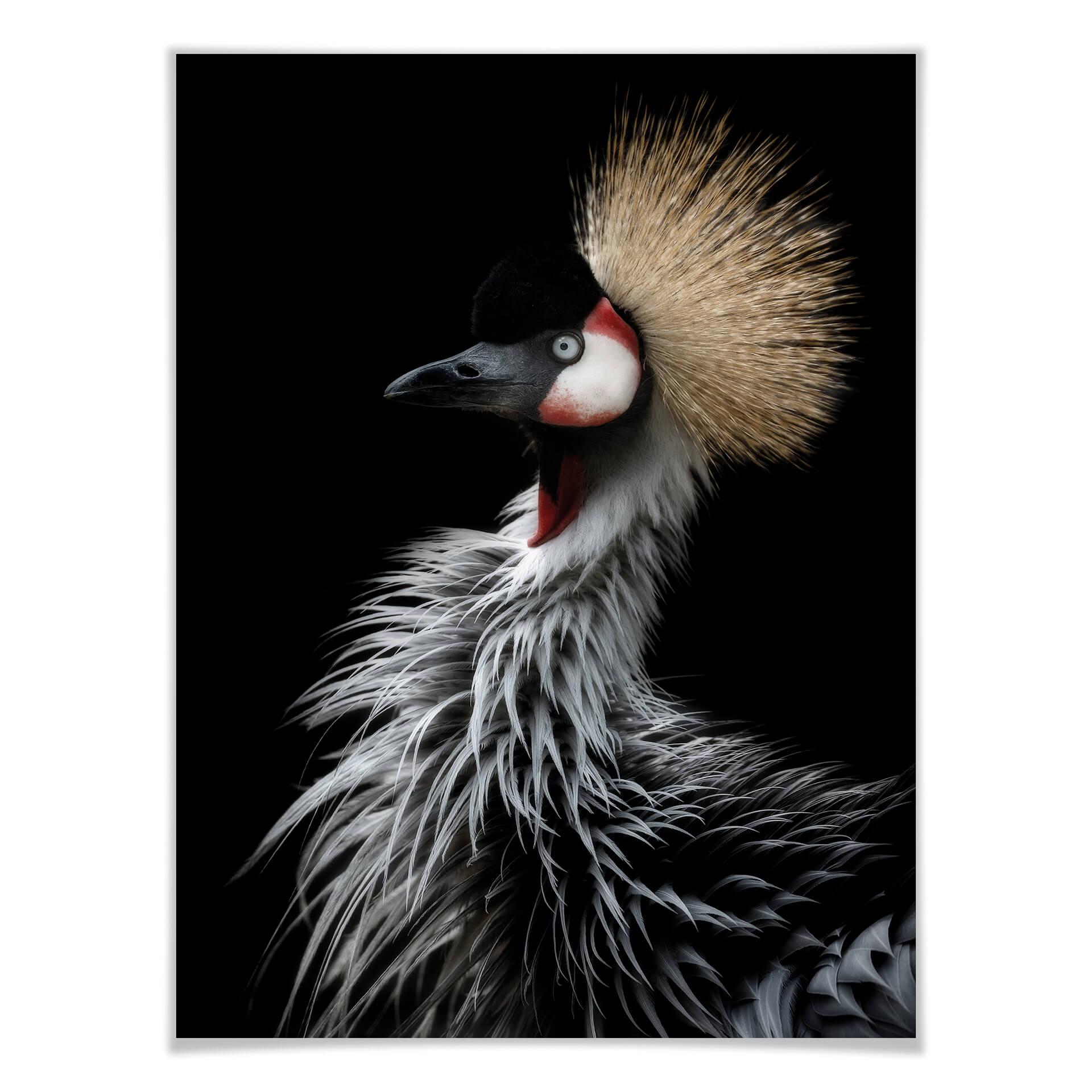 Póster Itoyama - La Grulla