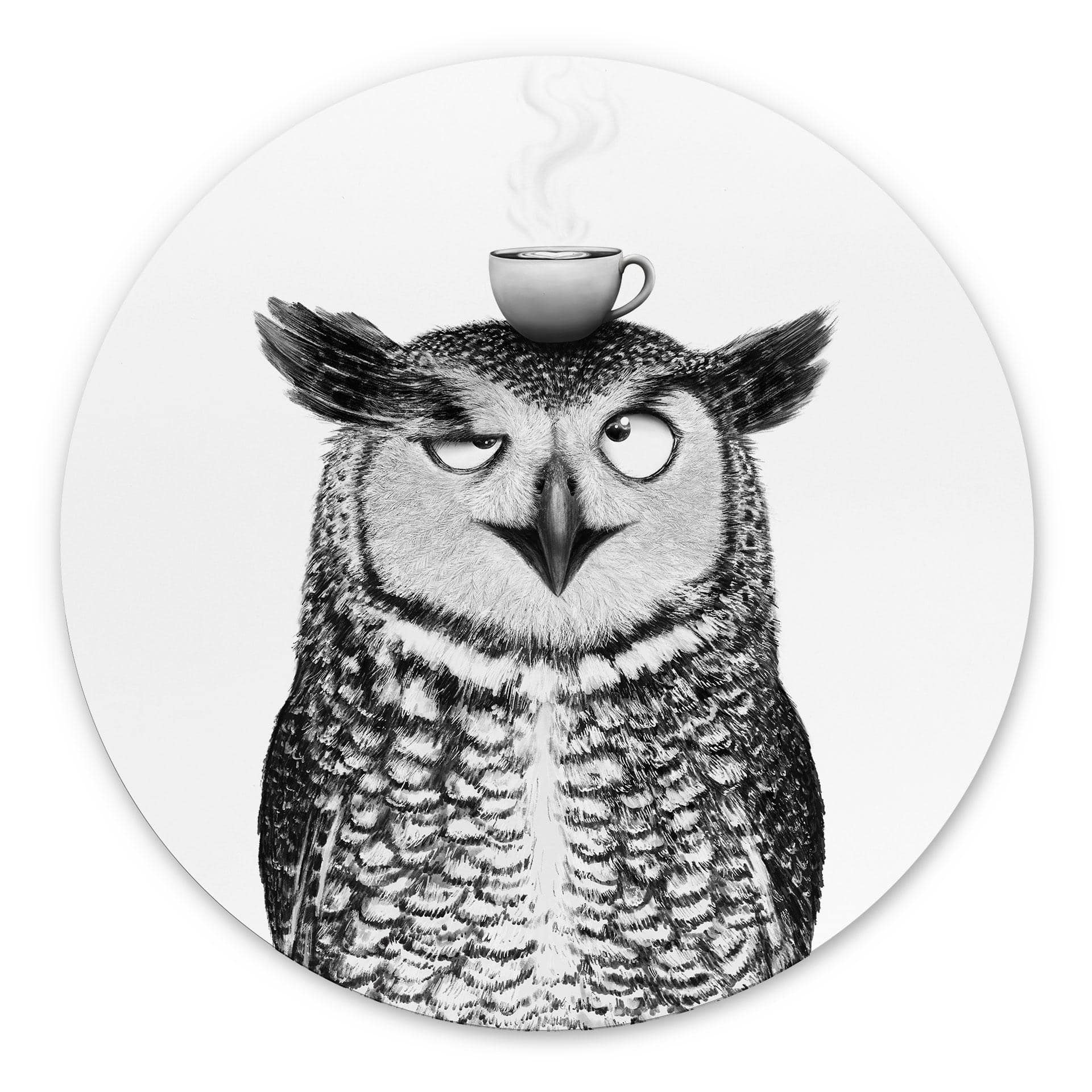 Tableaux Ronds Hibou amusant avec café - Korenkova - Alu-Dibond