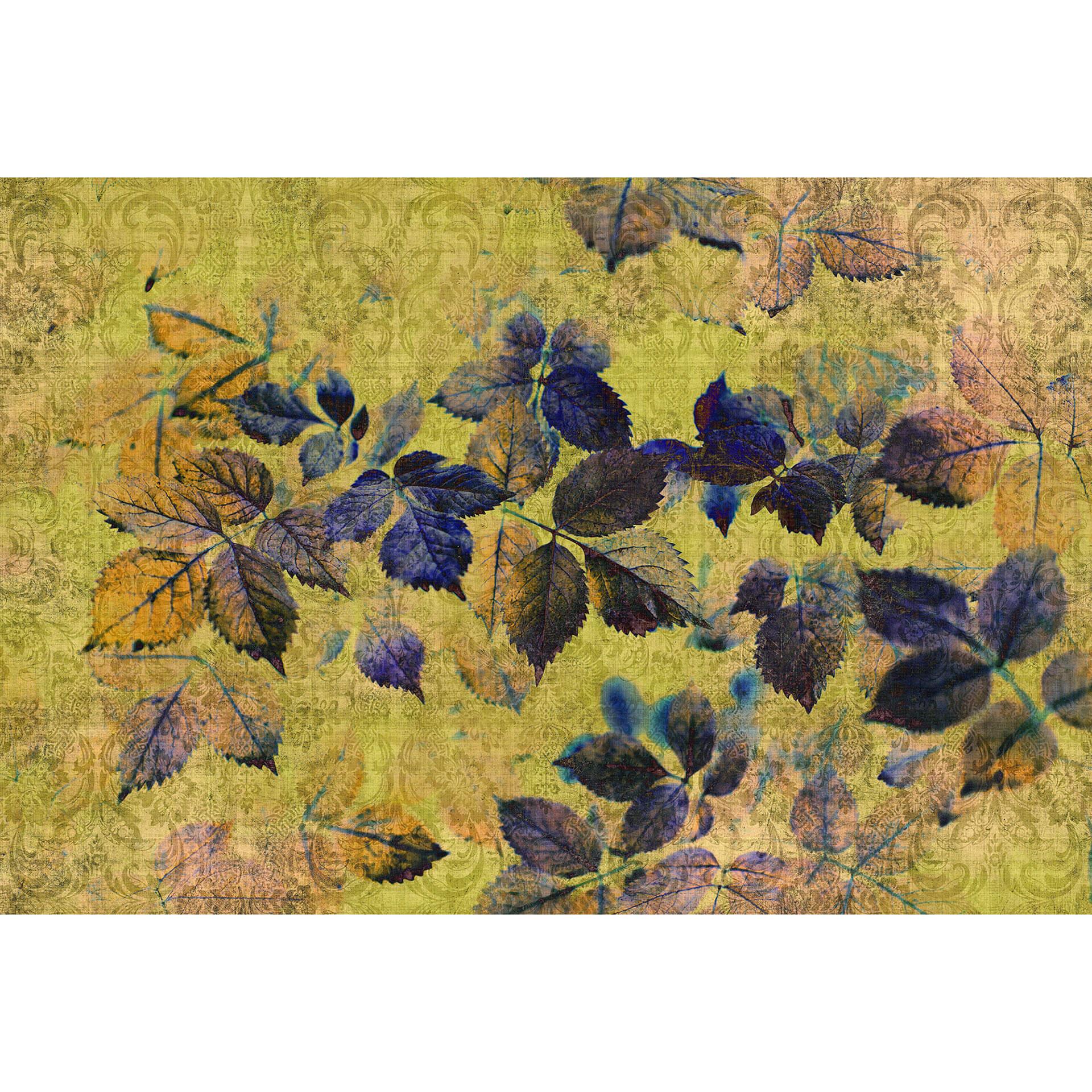 Livingwalls Fotobehang Walls by Patel 2 indian summer 1