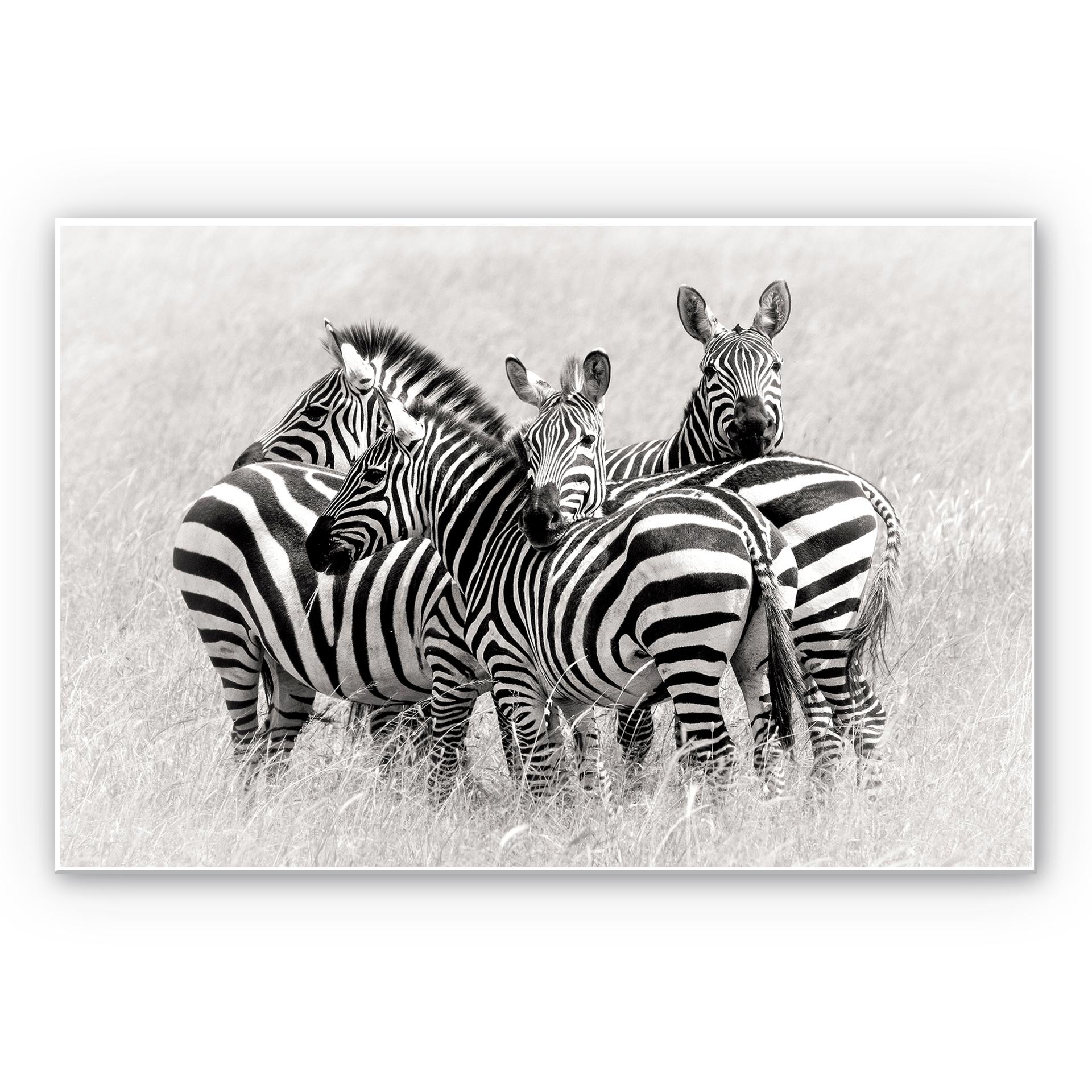 Tableau Forex - Trubitsyn - Zèbres dans la savane