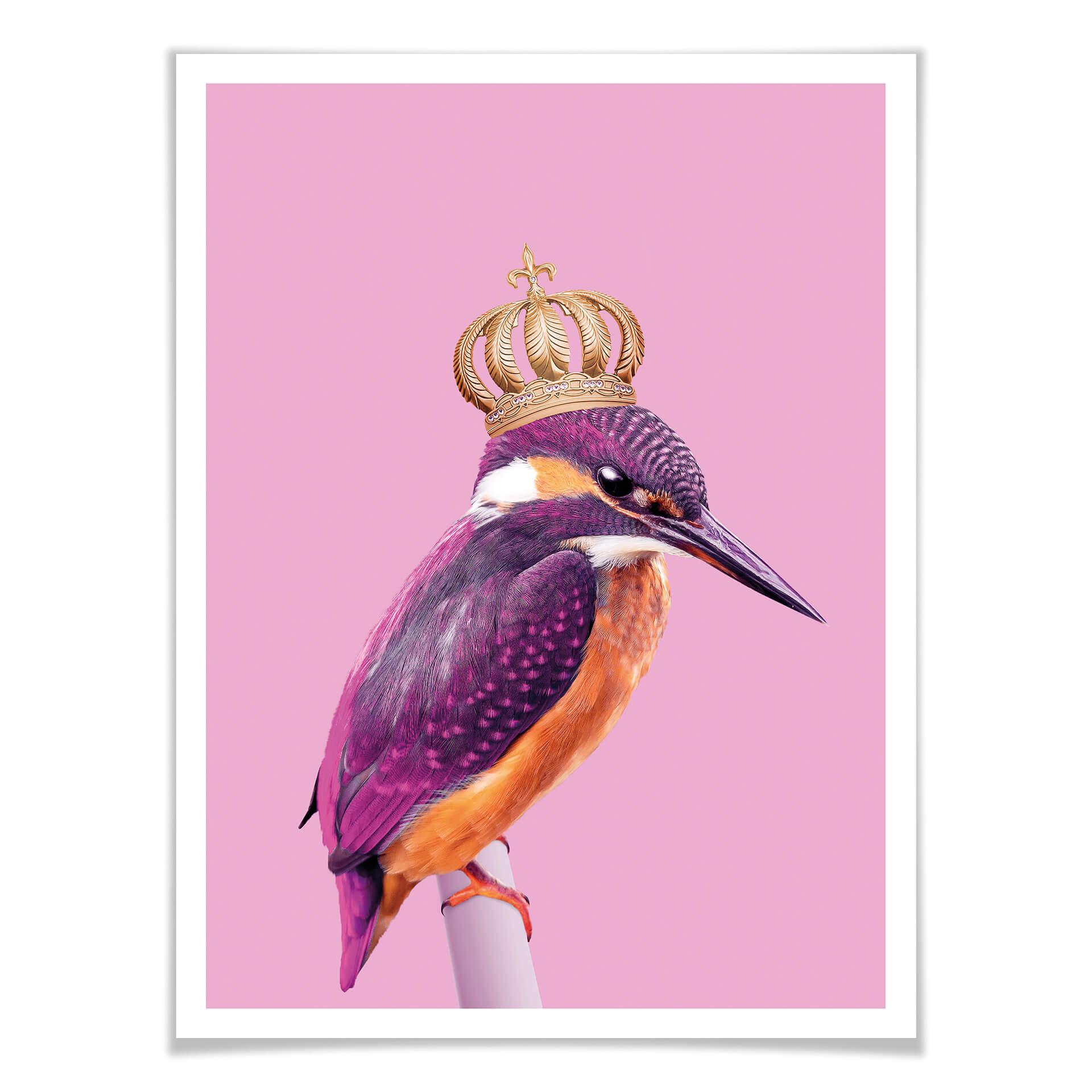 Póster Suelto - Queenfisher