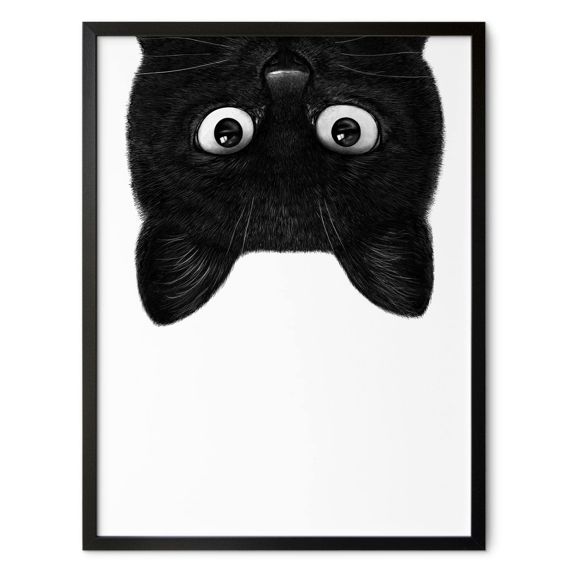 Poster Svart katt upp och ned - Korenkova