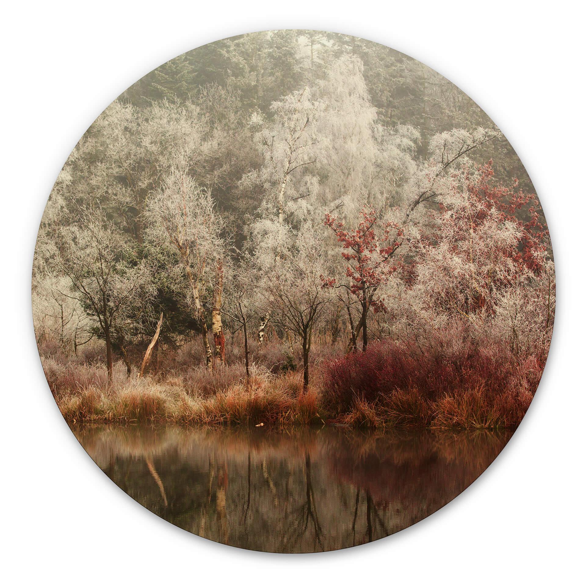 Wandcirkel van Dongen - Frosted Forest