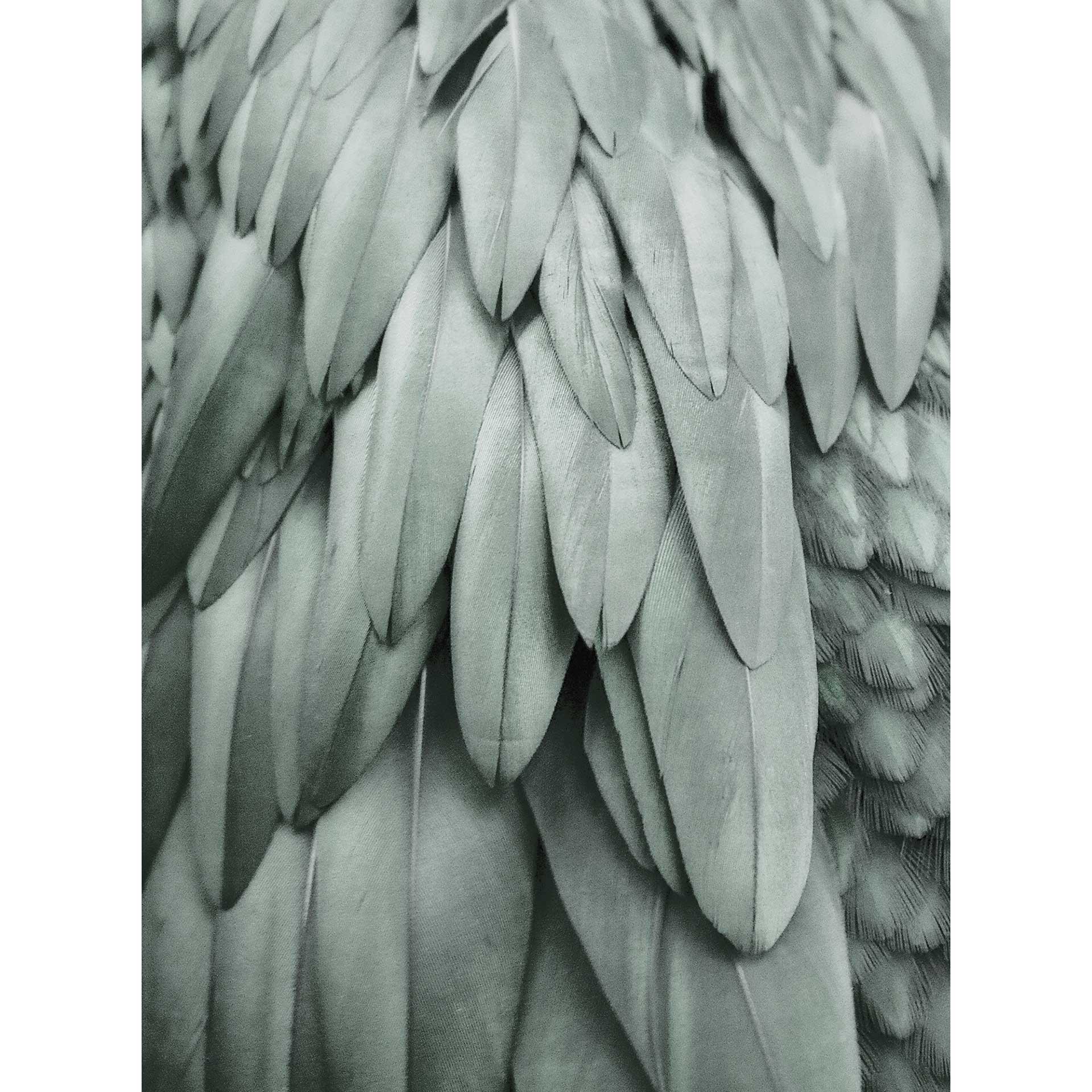 Livingwalls papier peint photo ARTist Feathers vert