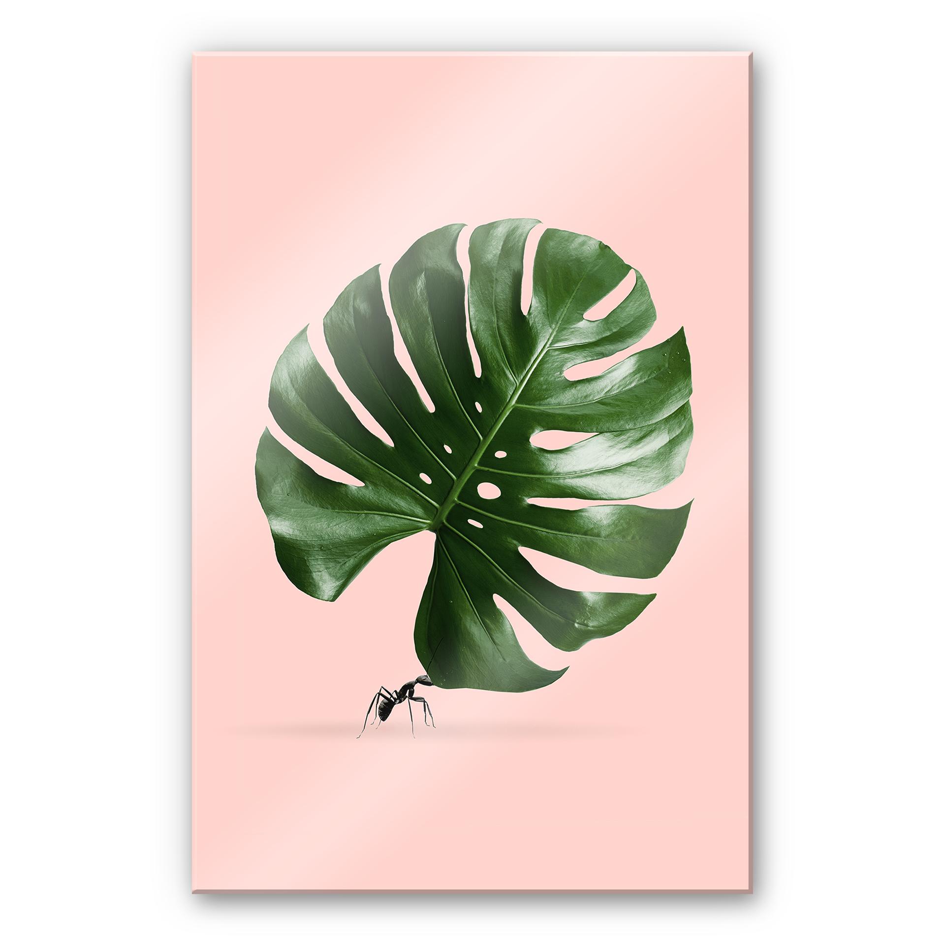 Akrylbillede Løs - Monstera Ant