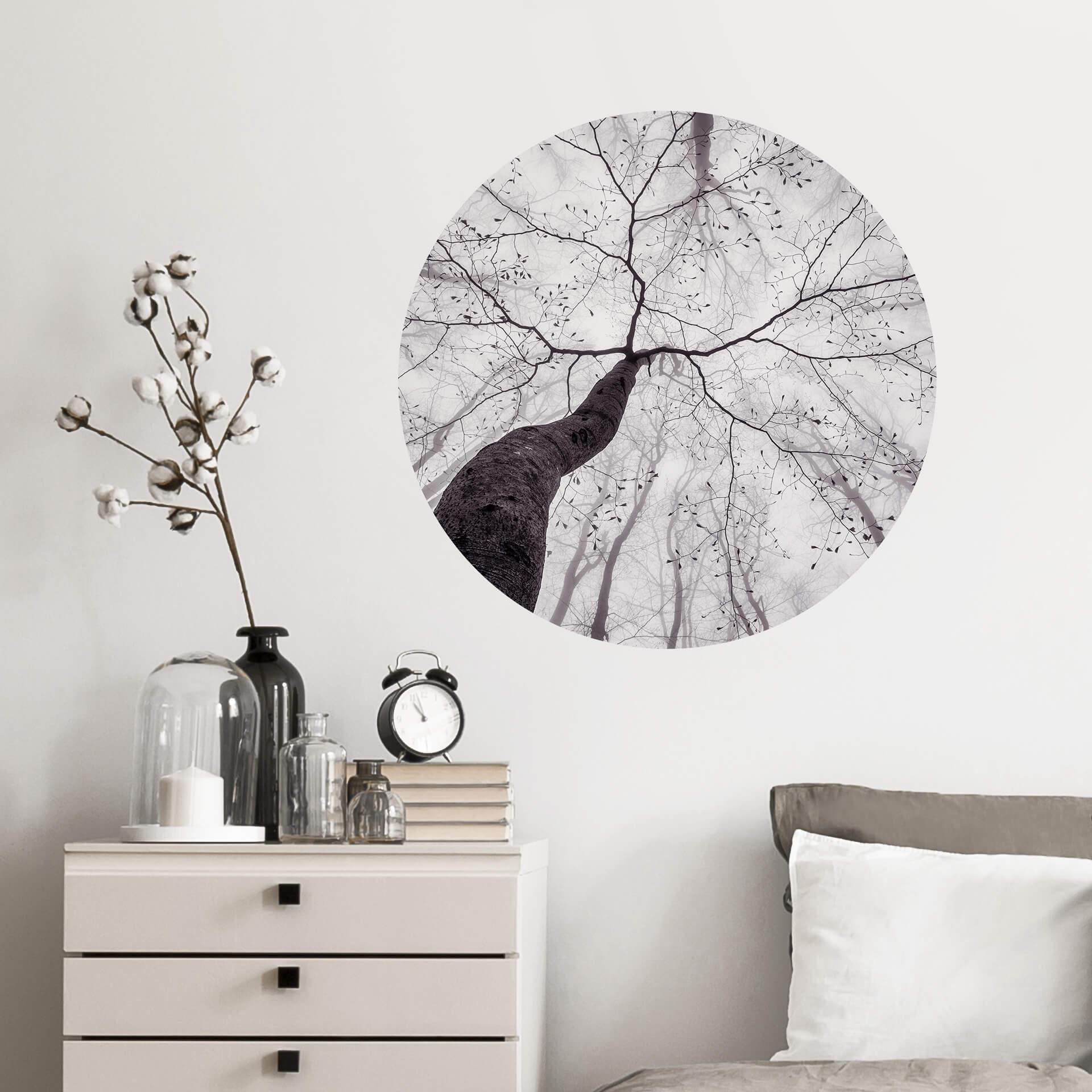 Pavlasek Wallsticker - Et kig ind i trætoppene - Rund