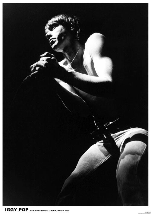 Plakat IGGY Pop - London 1977, Plakat (59,4 x 84 cm)