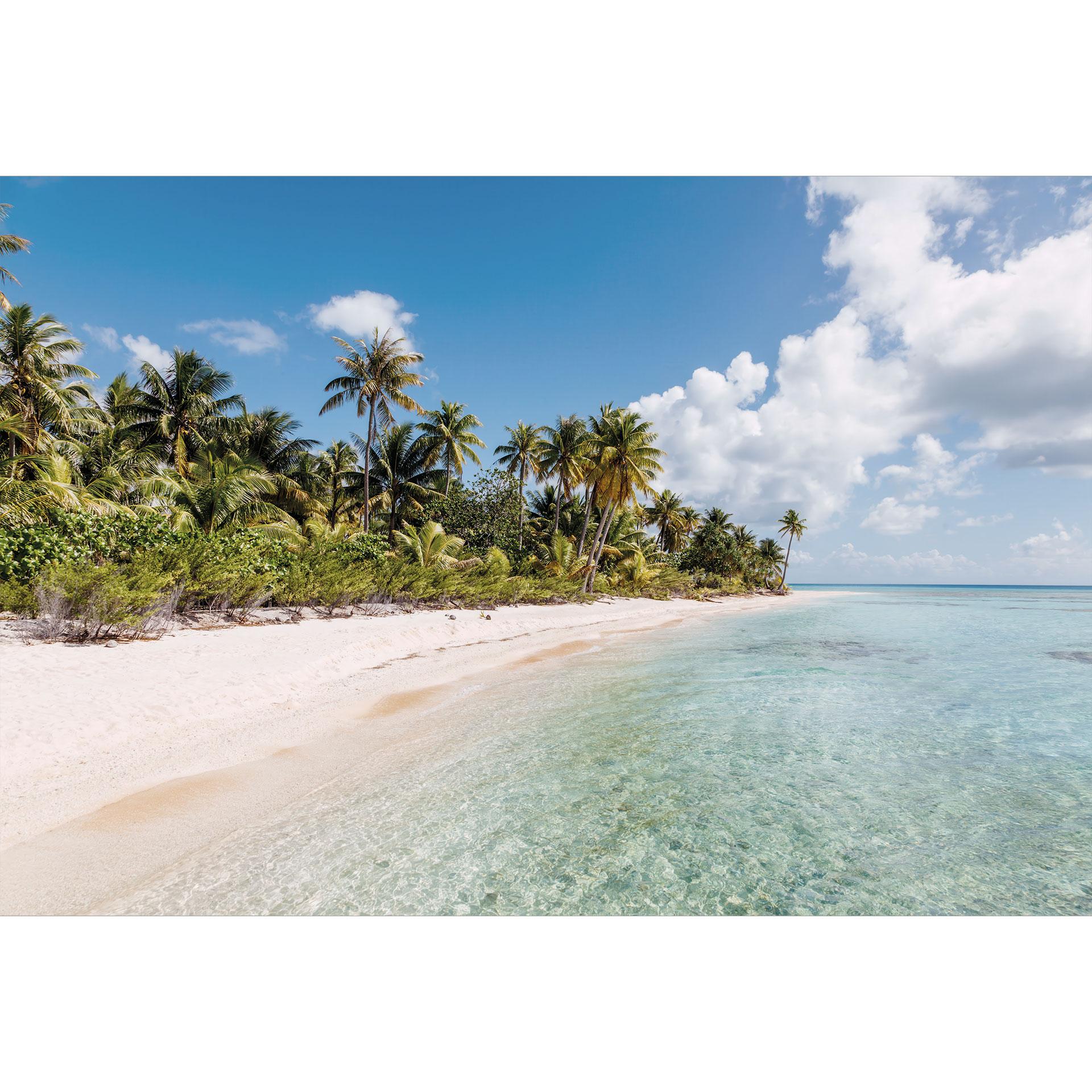 Fotobehang palmstrand in de Zuidzee - Colombo